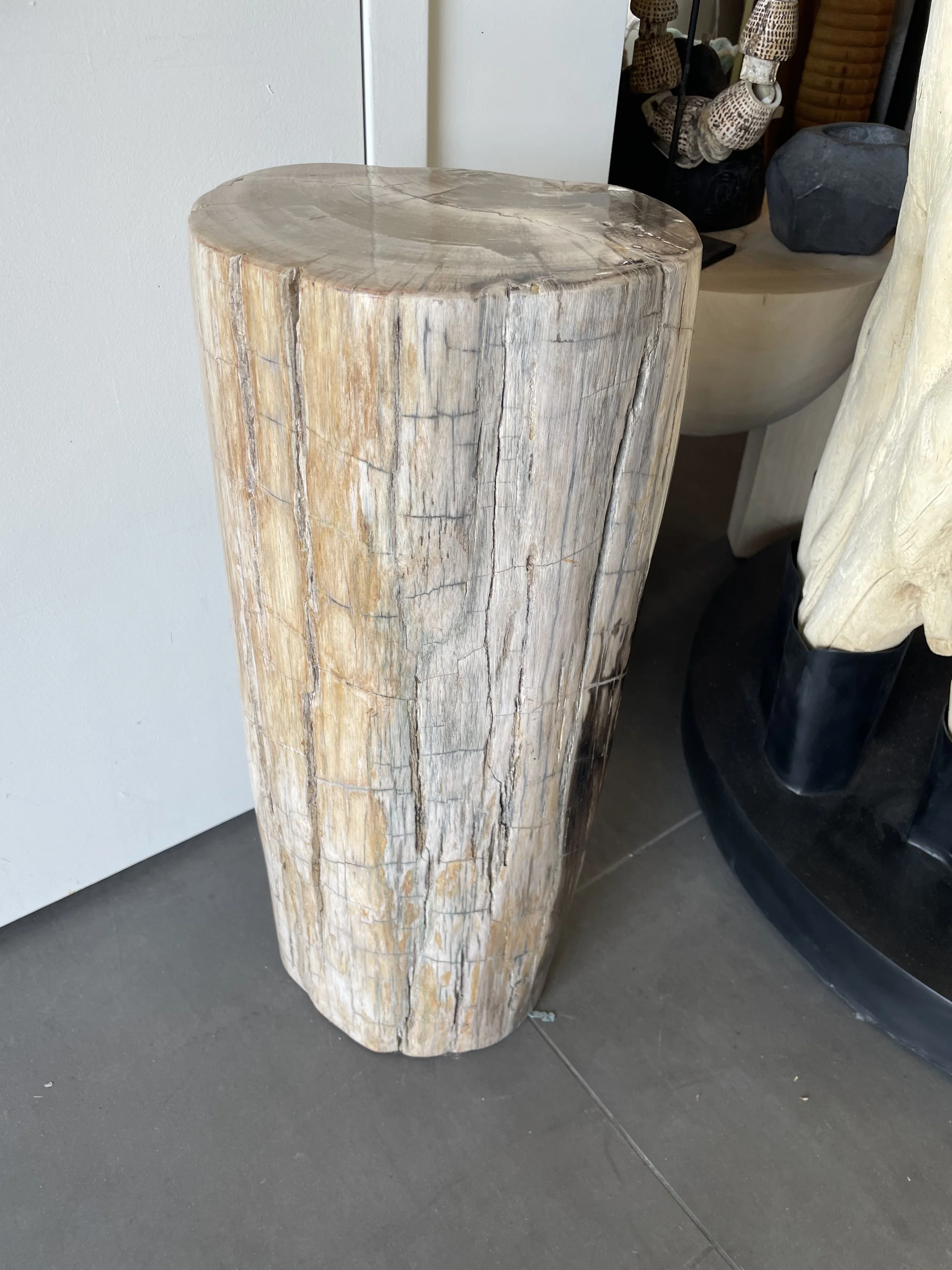 luxury petrified stump.jpeg