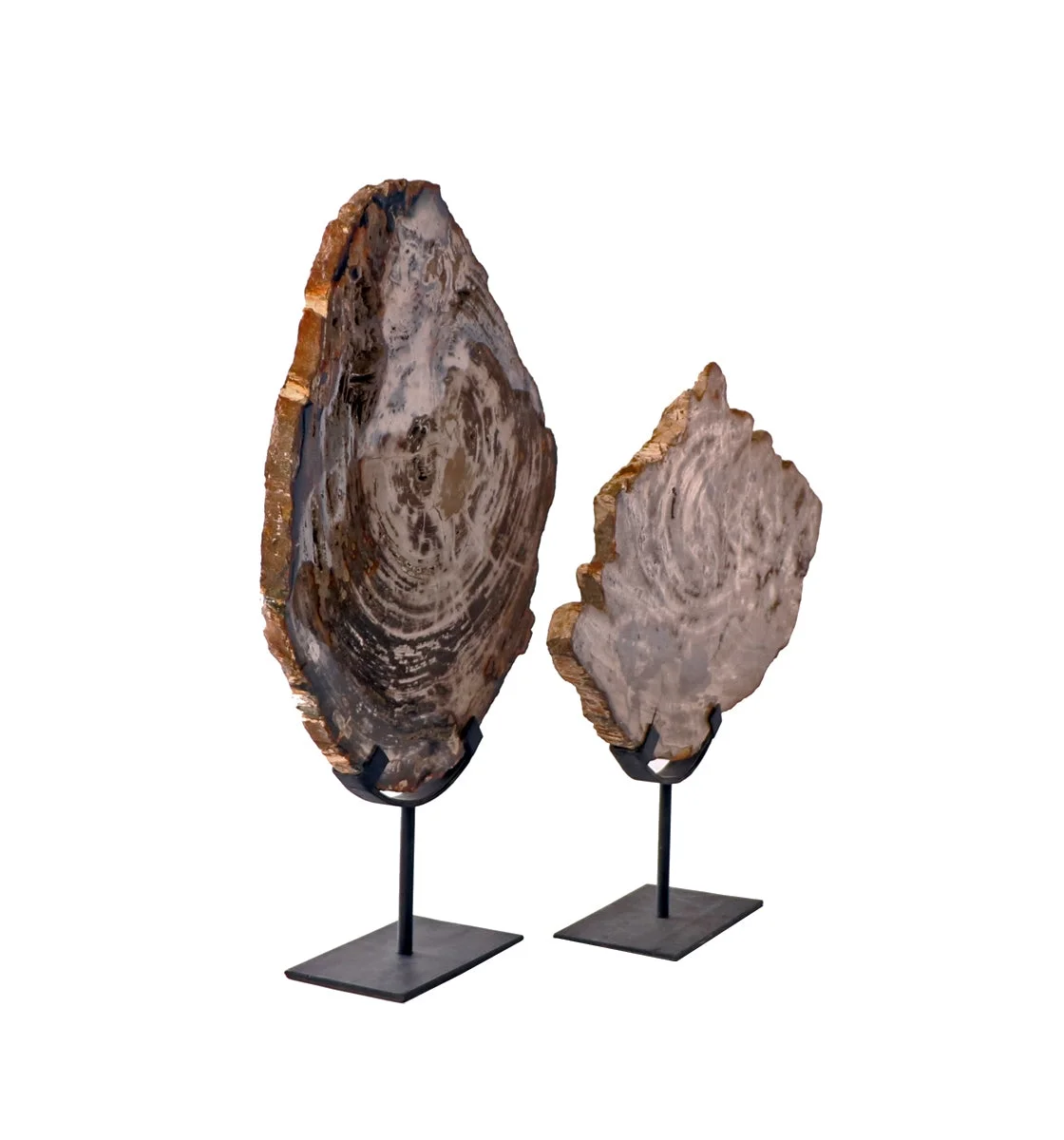 Petrified wood on stand side view.webp
