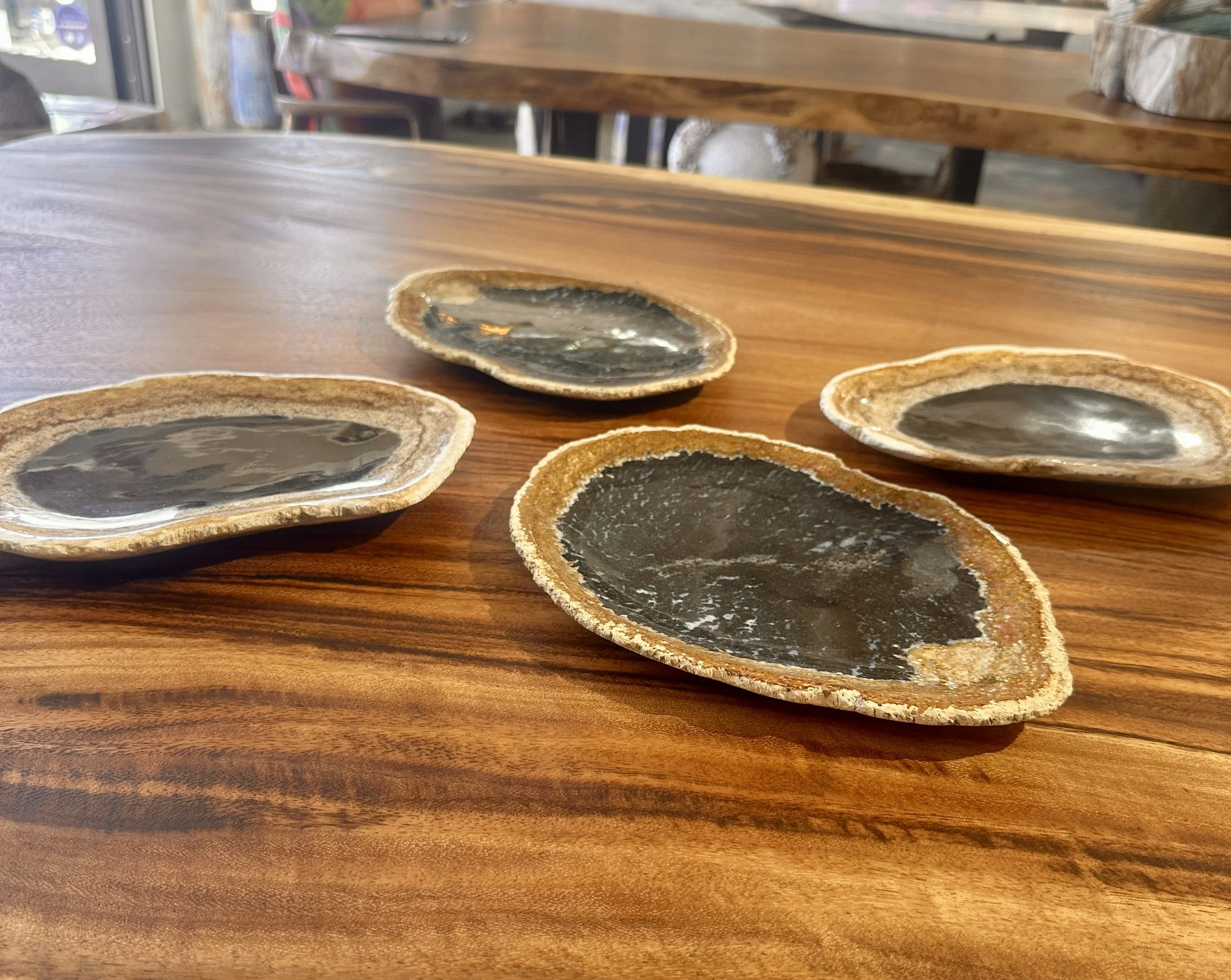 petrfied palm plate options.JPG