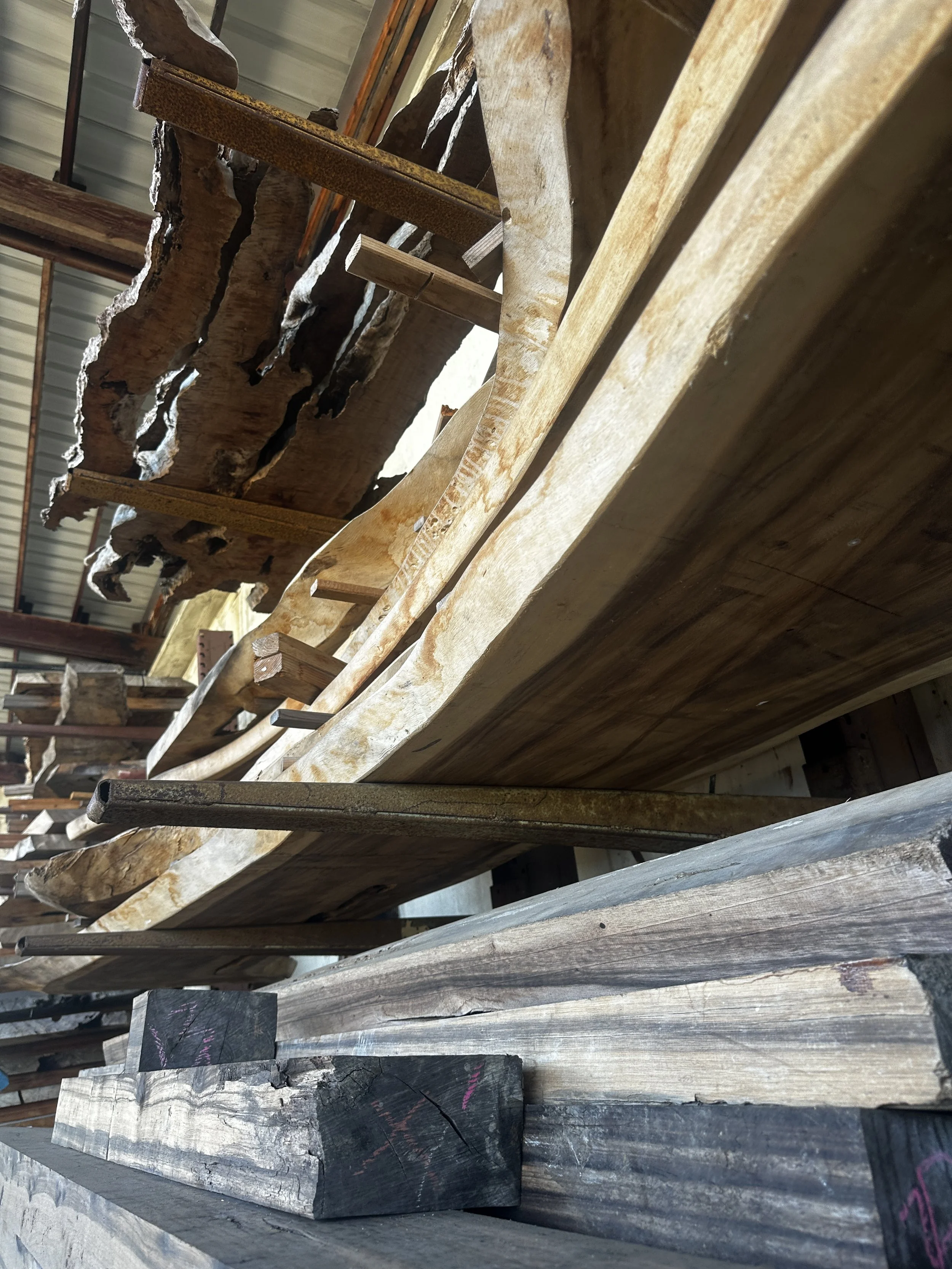 Hardwood live edge slabs drying and stabilizing before custom furniture production