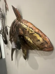 copper detail on shark.webp