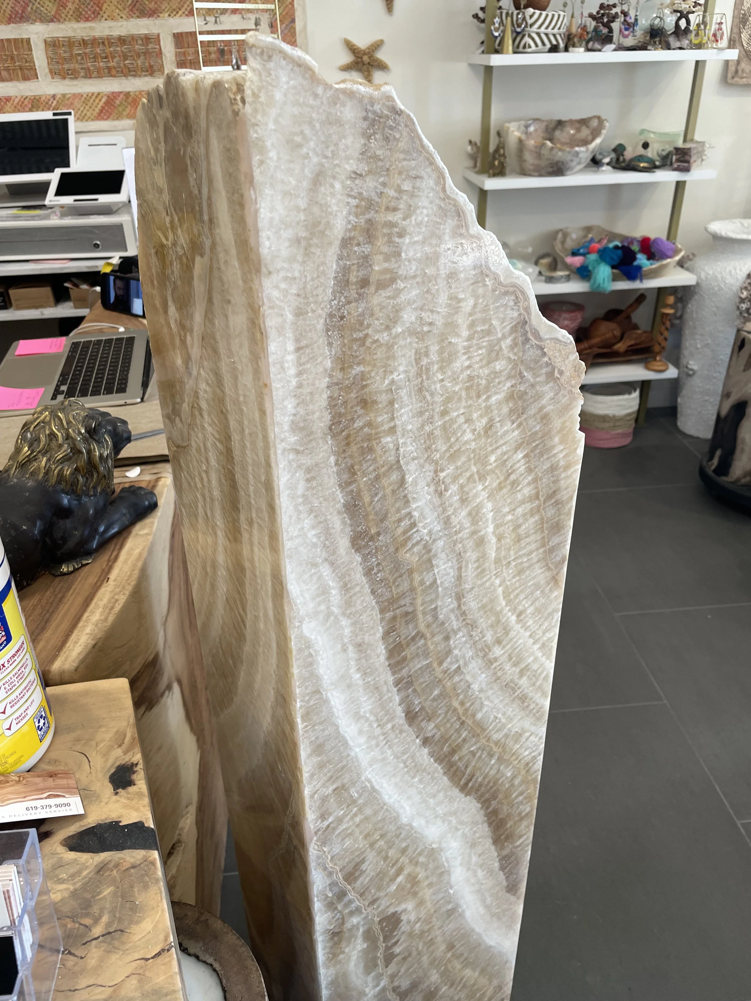 Natural Edge Floor Lamp.jpeg