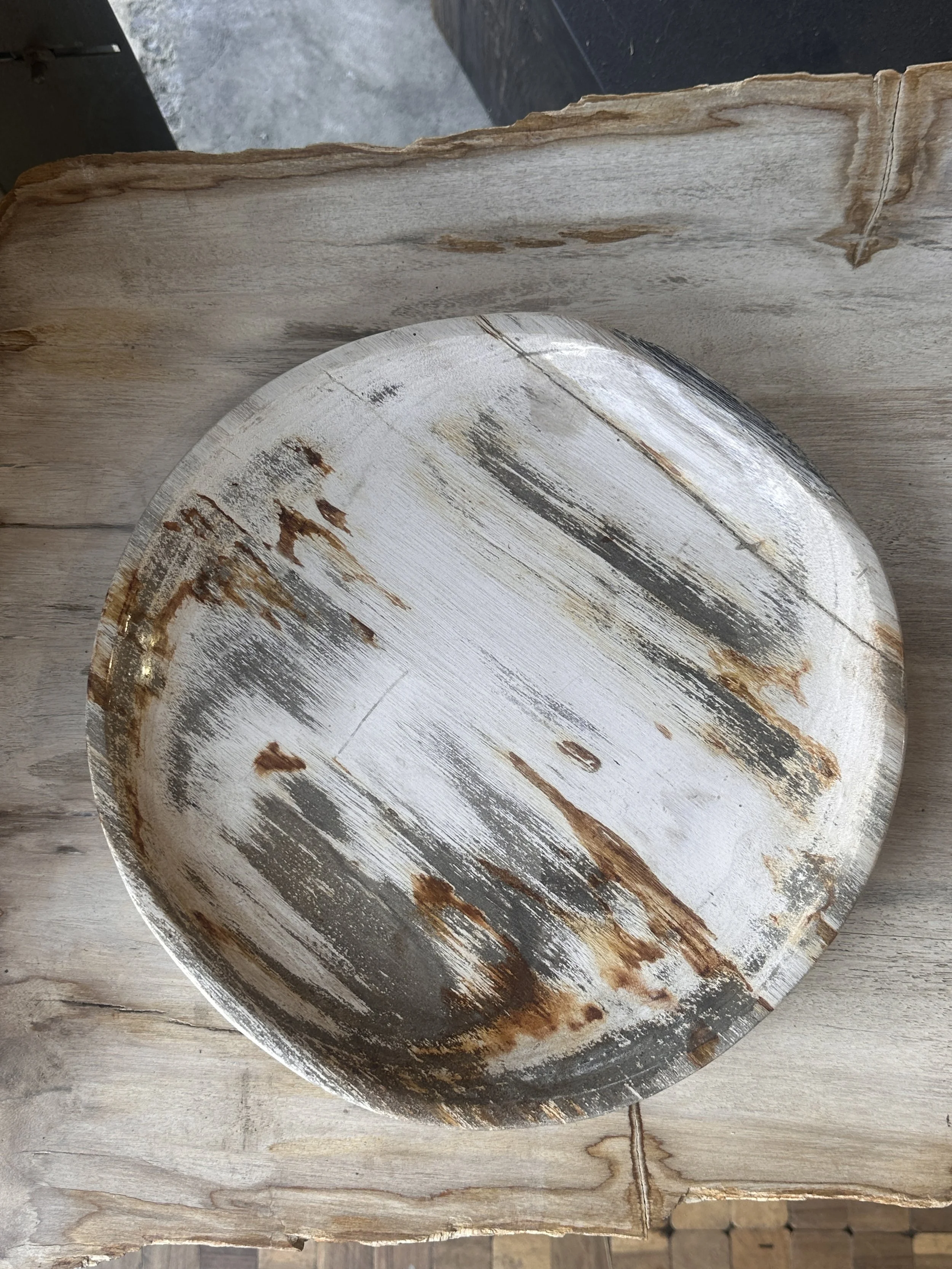 white petrified plate.JPG