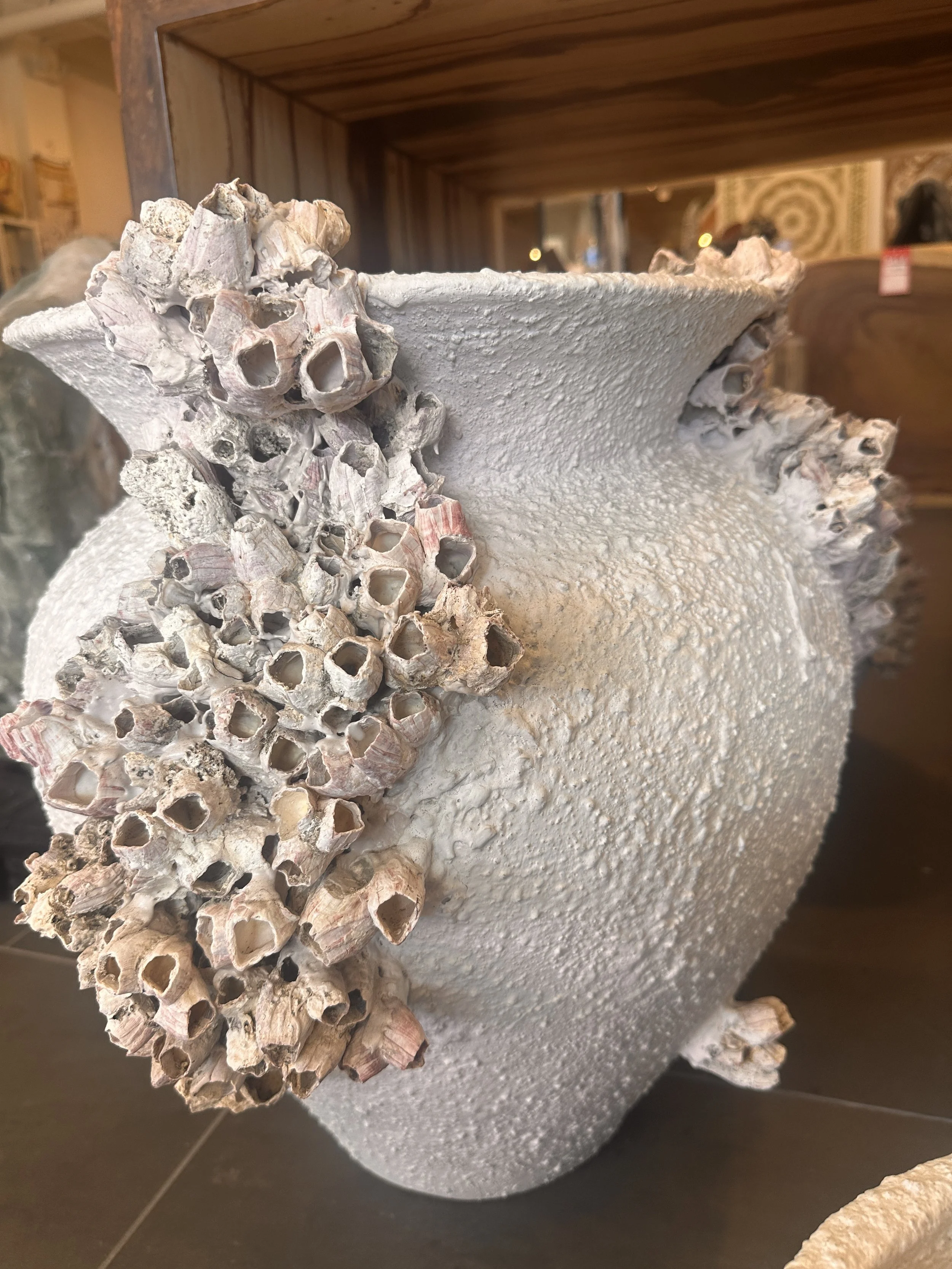 ceramic barnacle pot.JPG