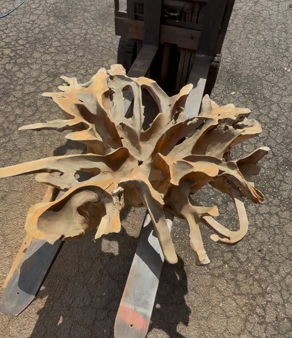 Blossoming Teak Wall Art
