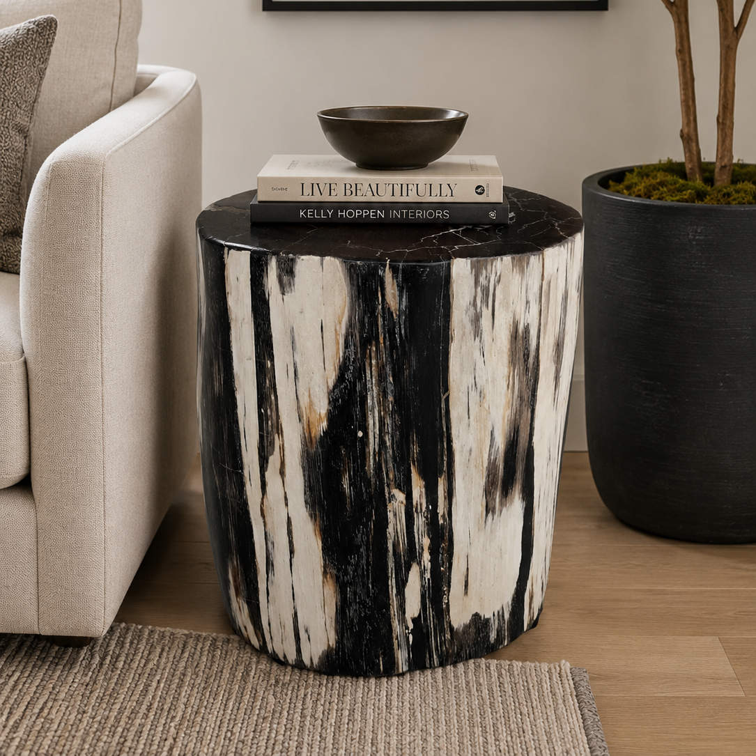 Excellent+black+and+white+petrified+stump.png