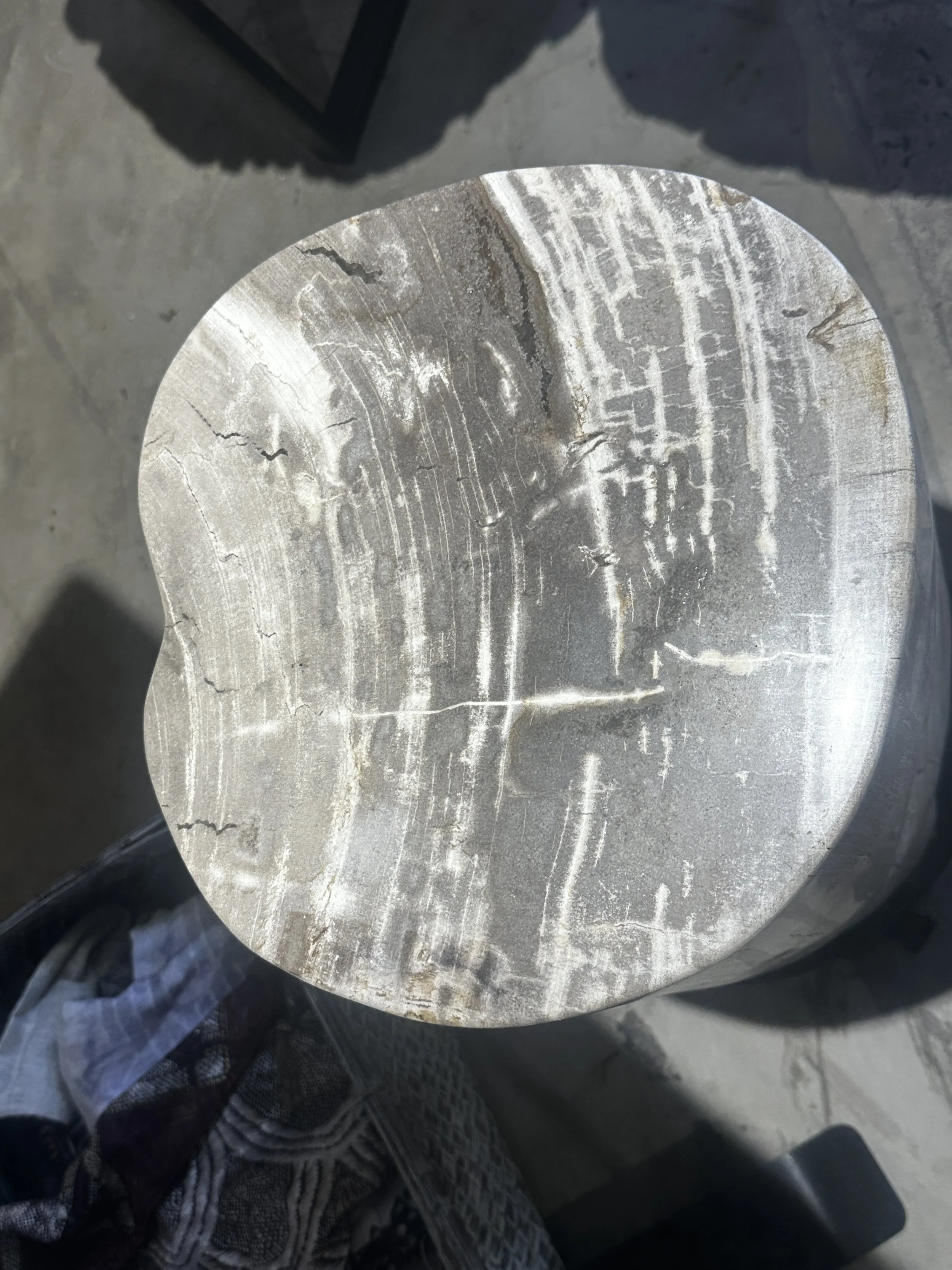 glistening petrified stump.JPG