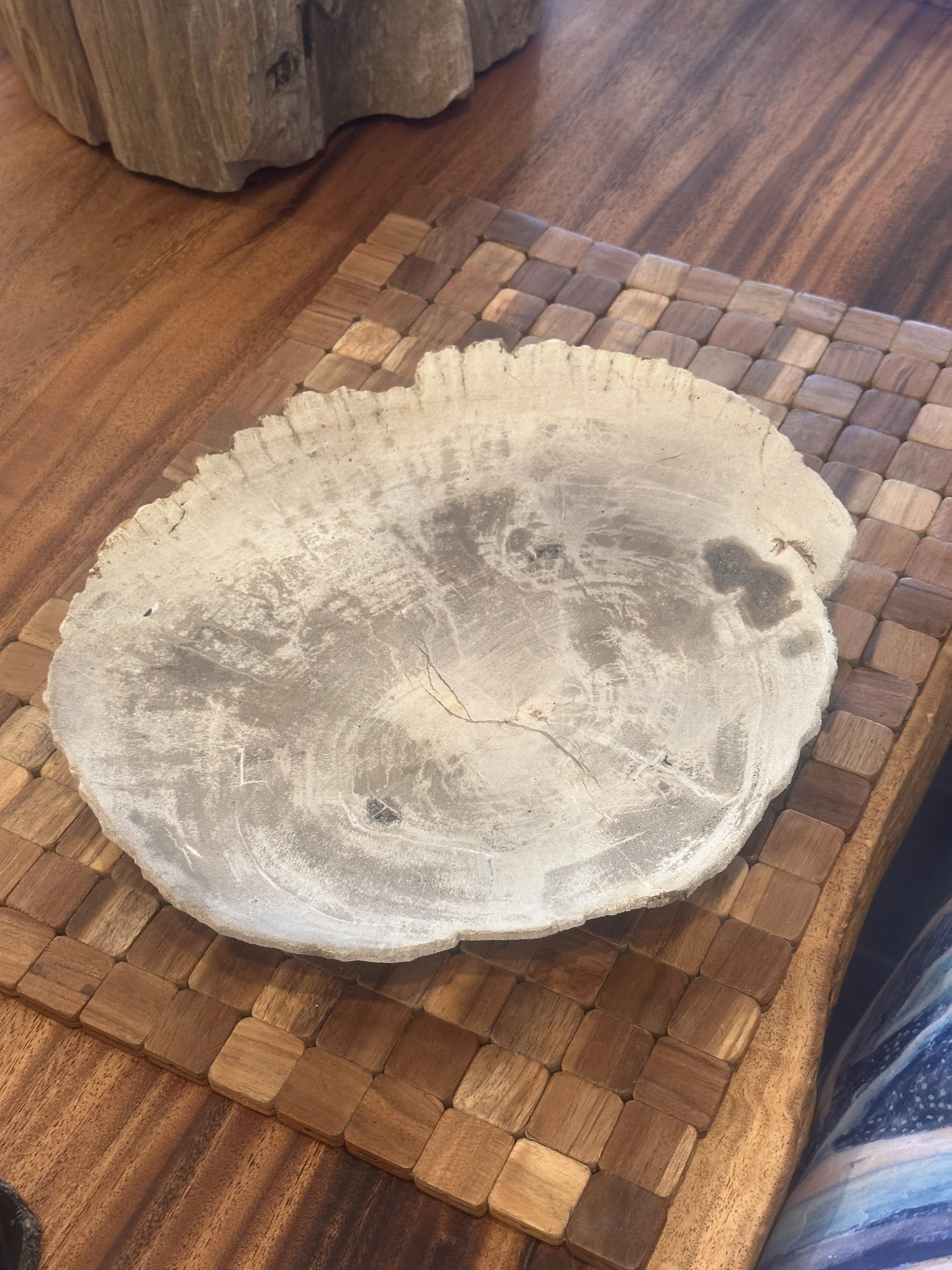 petrified plate in light color.JPG