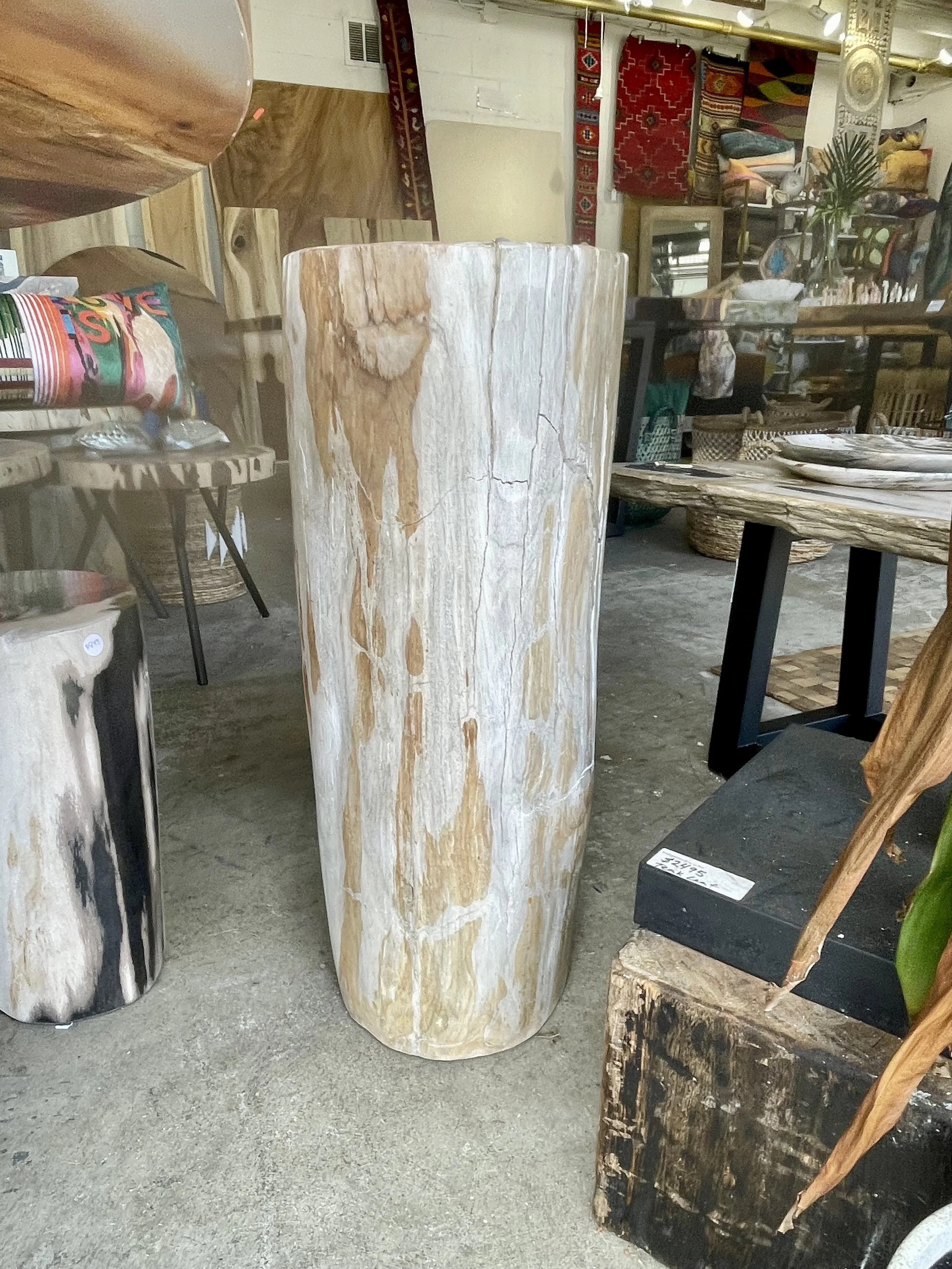 Petrified pedestal side view.jpeg