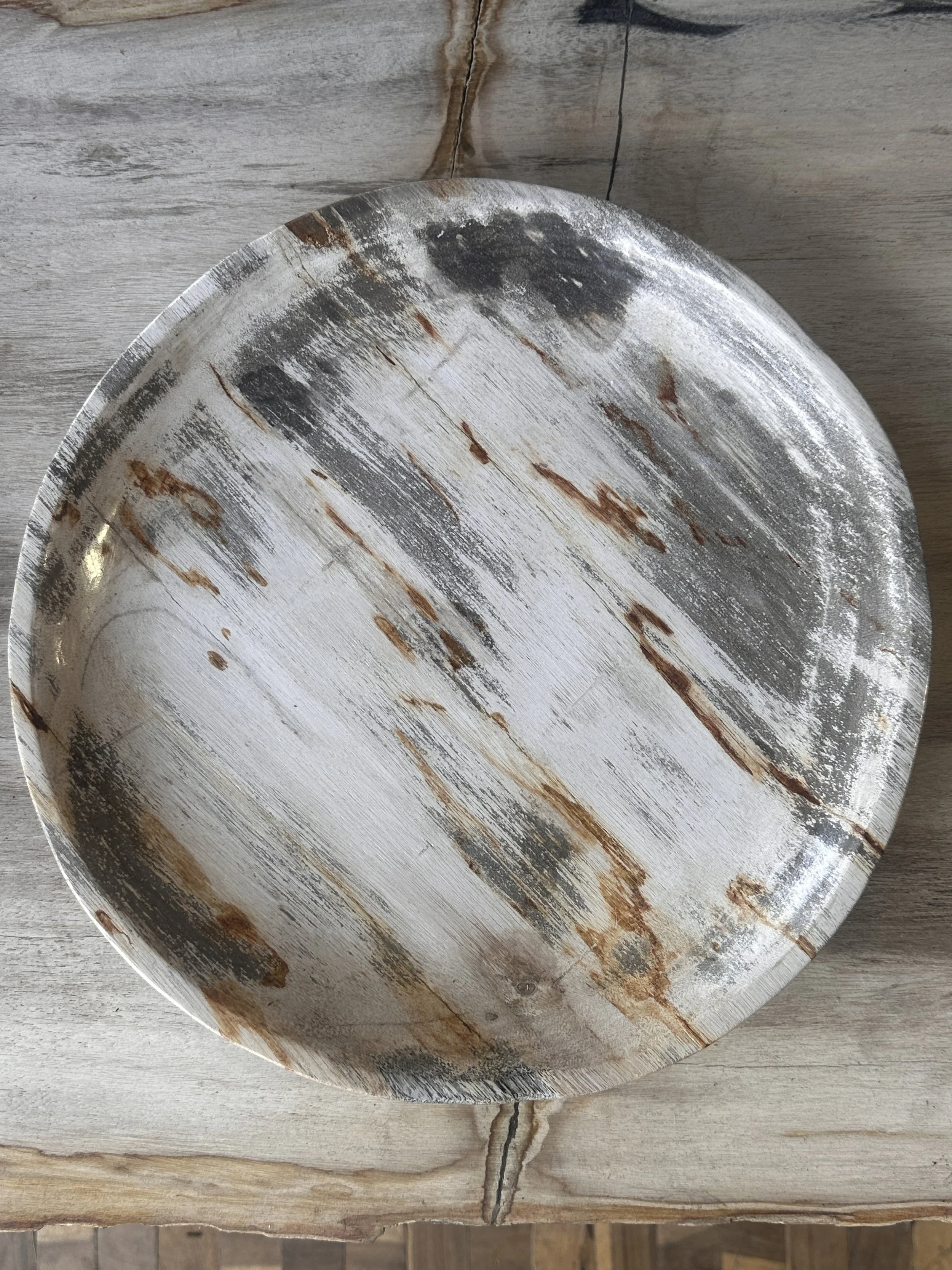 Petrified plate with gray veins.JPG