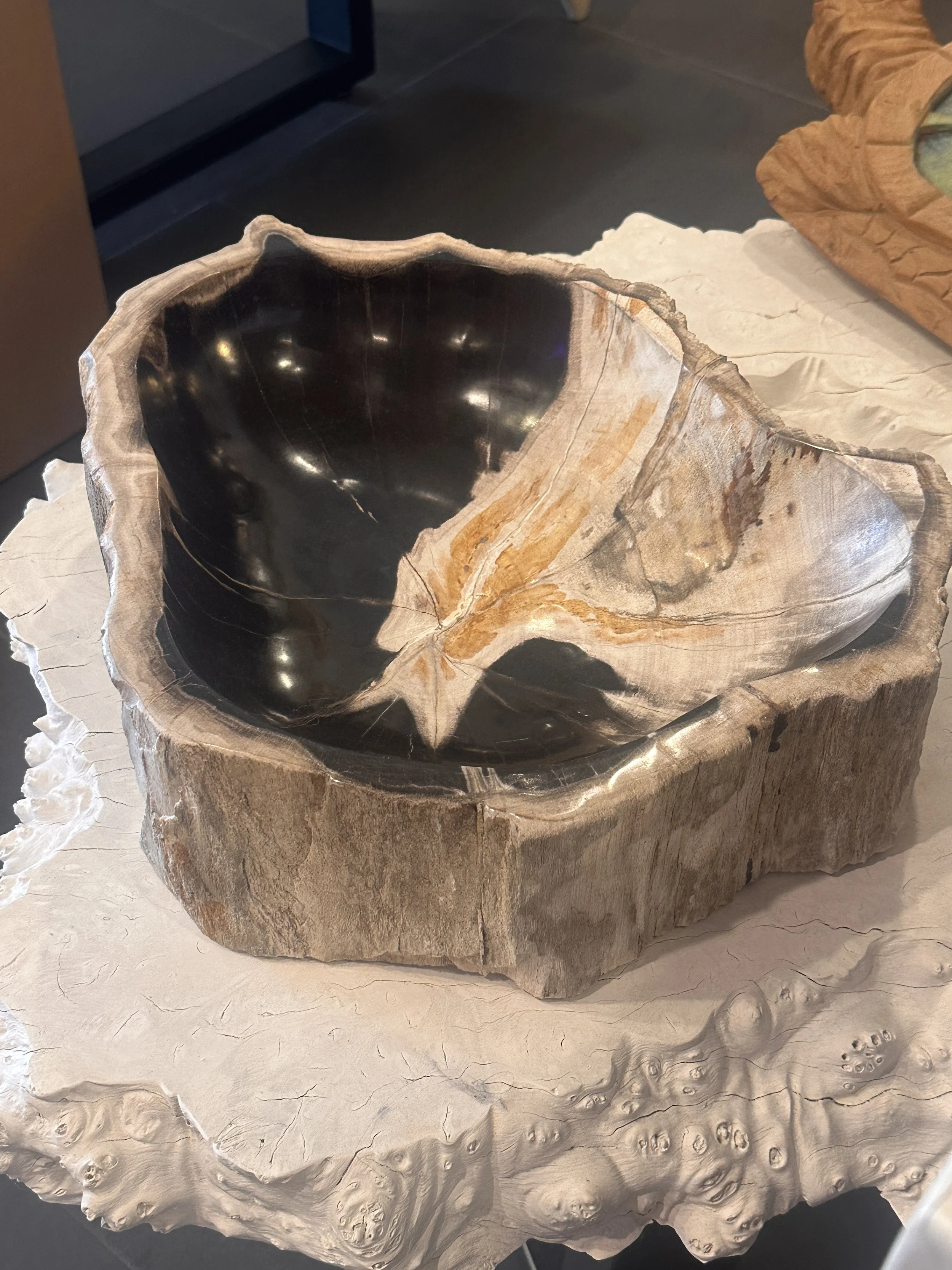 Natural petrified wood bowl.JPG
