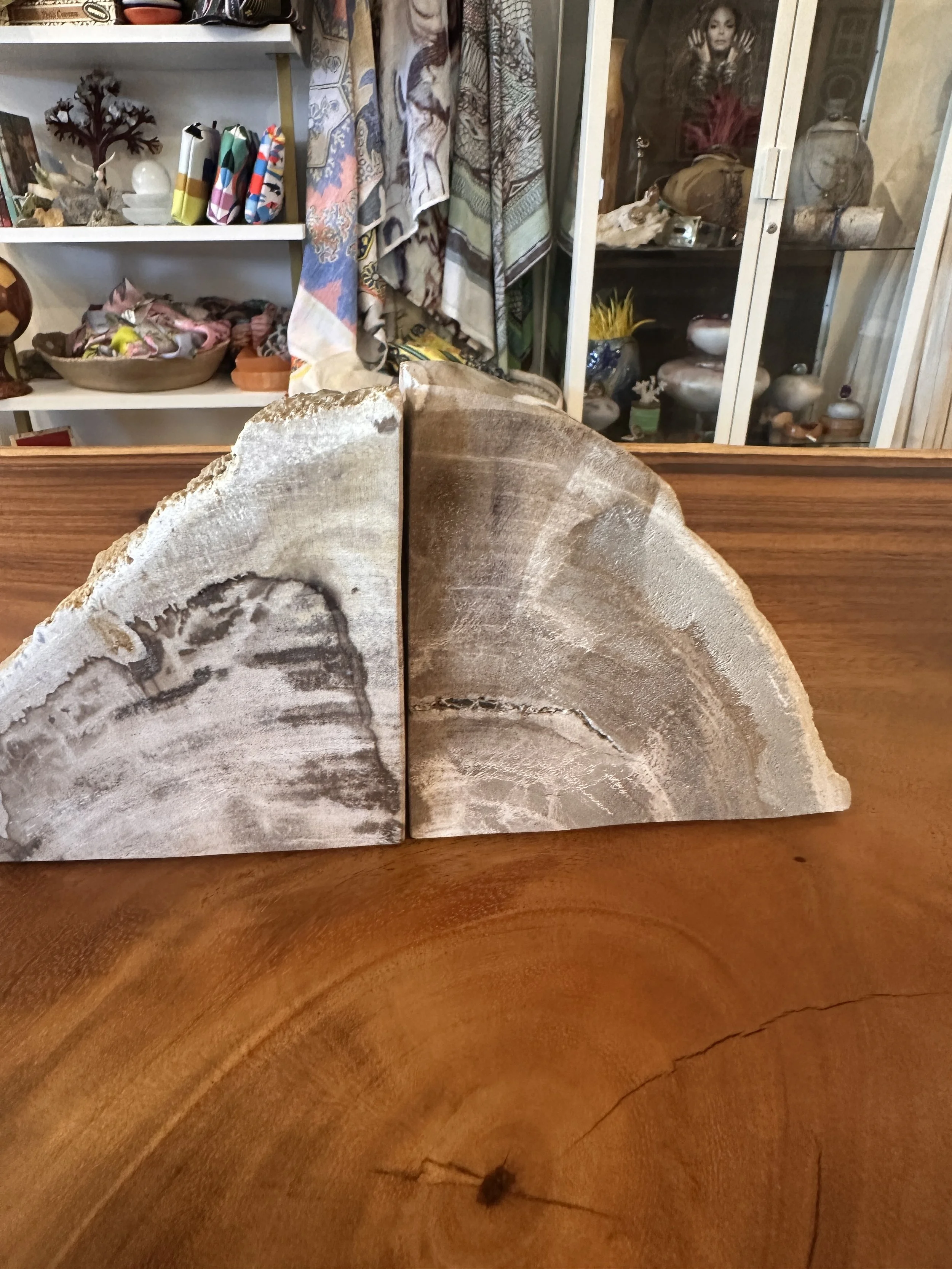 Handcarved gray petrified bookends.JPG