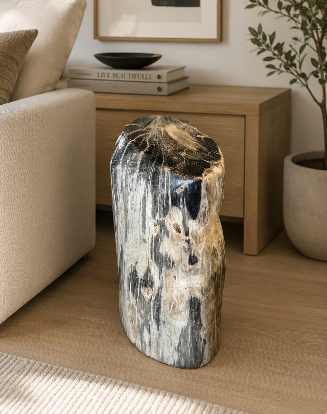Small Black Petrified Wood Stump