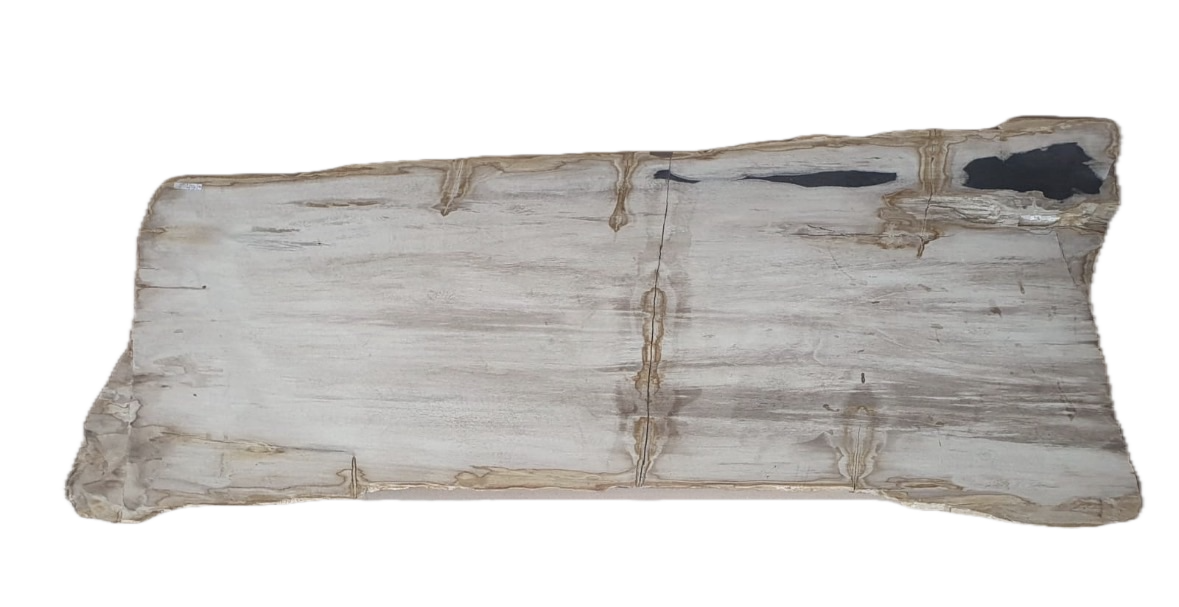 WHITE PETRIFIED COFFEE TABLE.png
