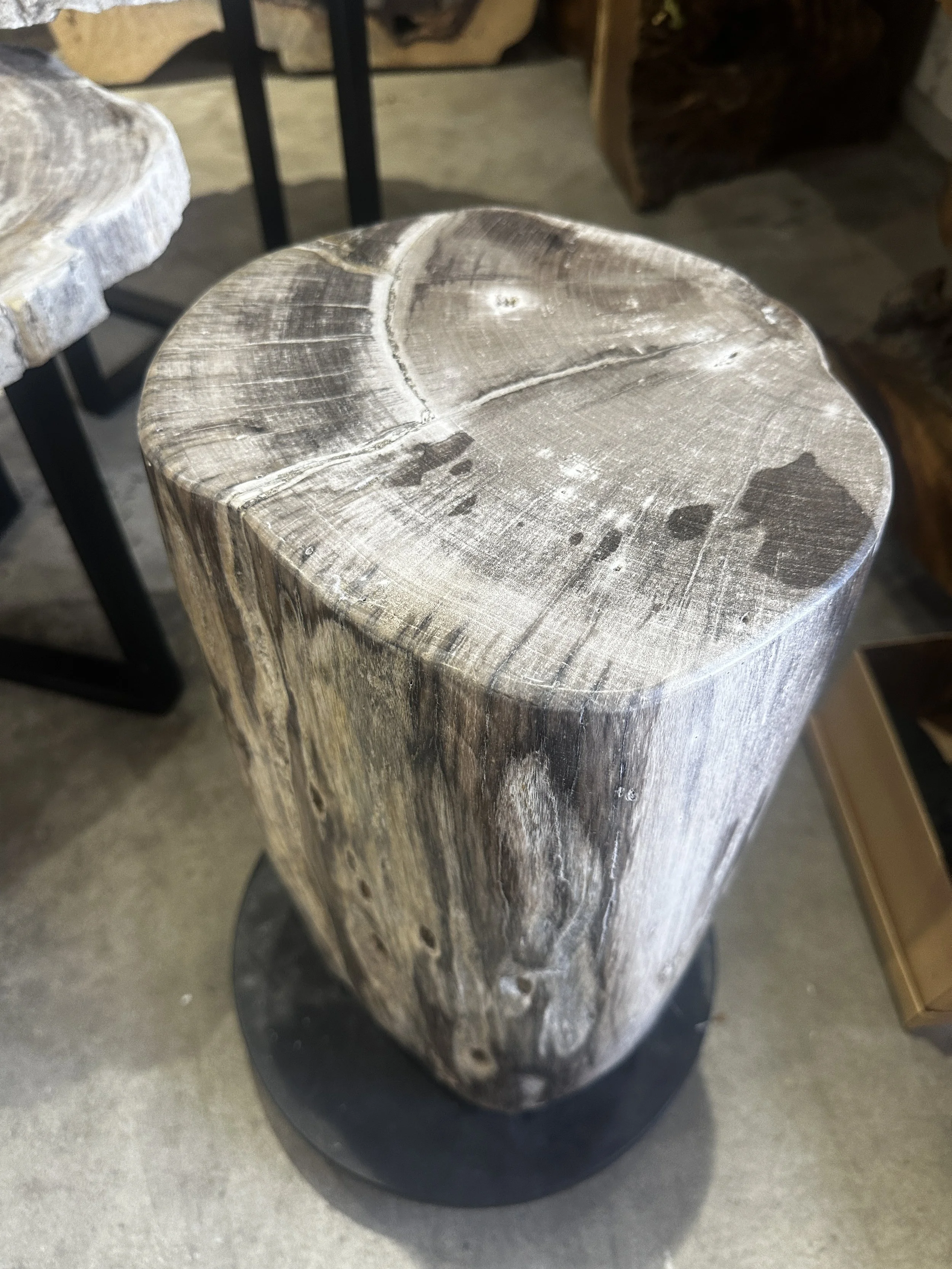 petrified stump small and gfray.JPG