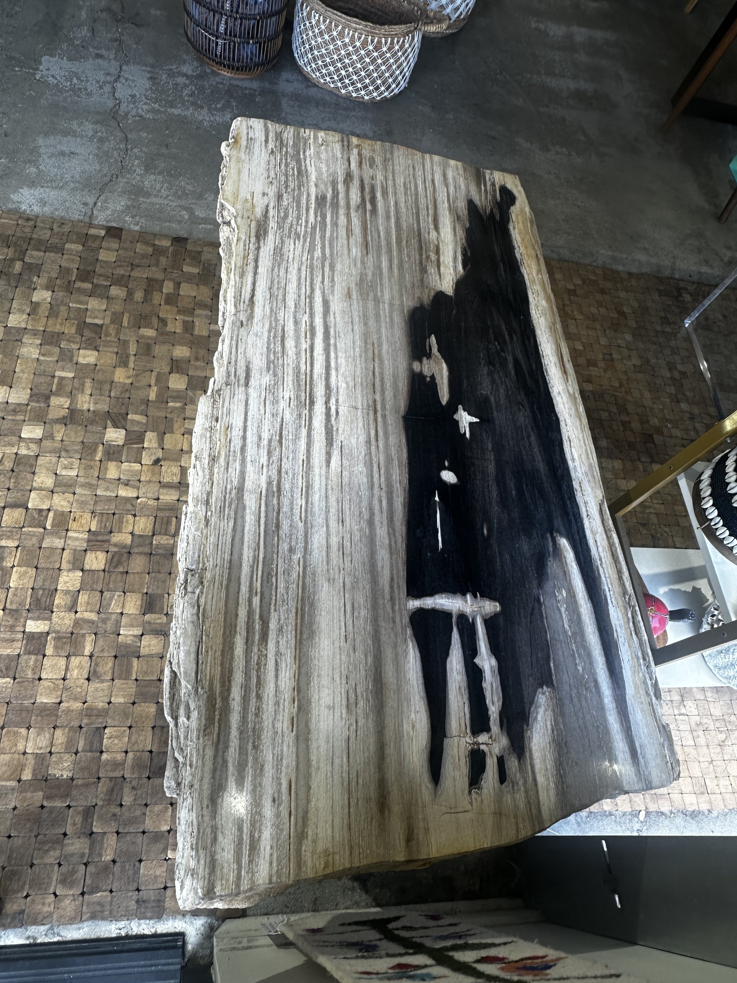 Petrified coffee table in solana.JPG