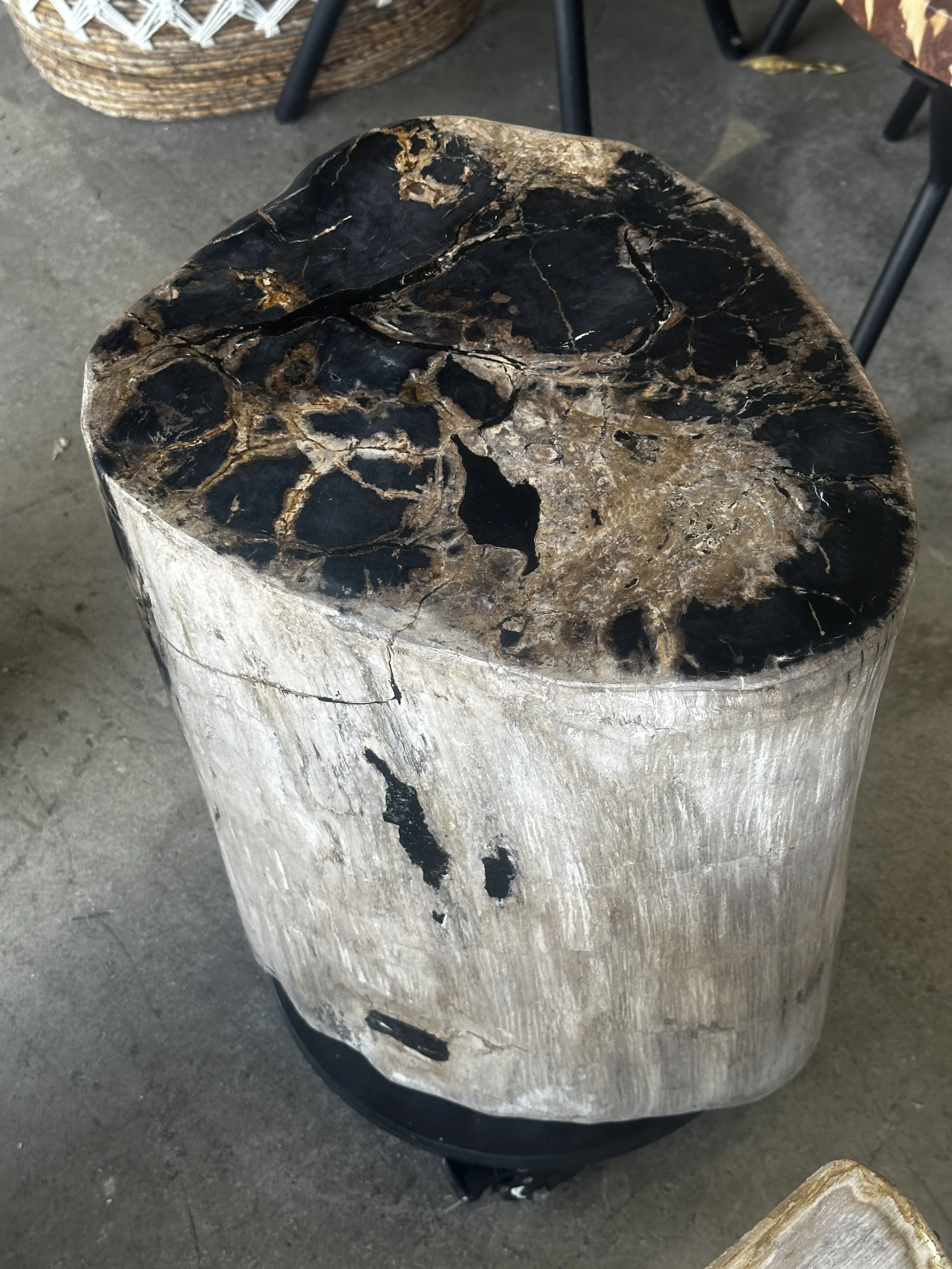 Black Petrified stump top.JPG