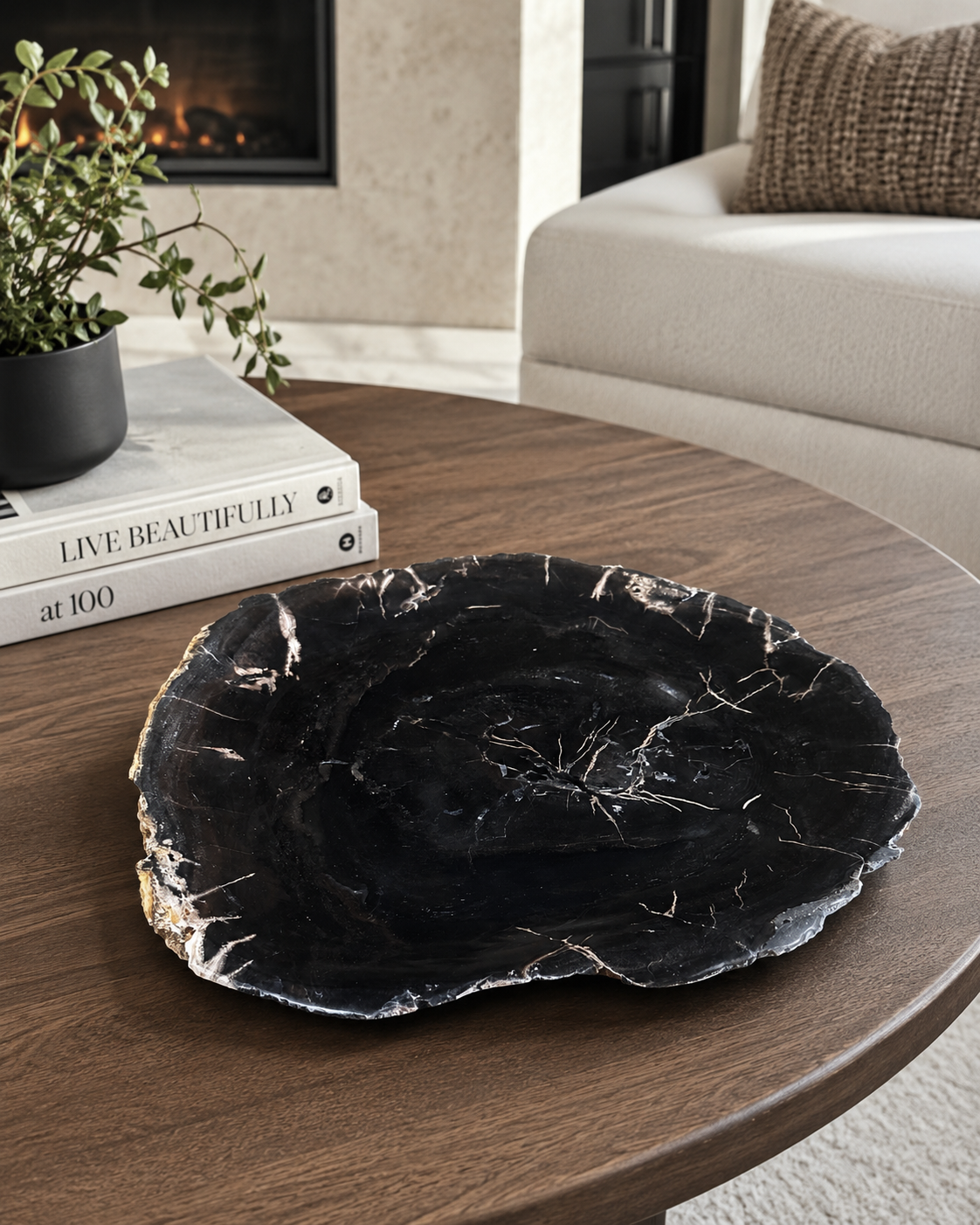 Petrified Plate on Wood table.PNG