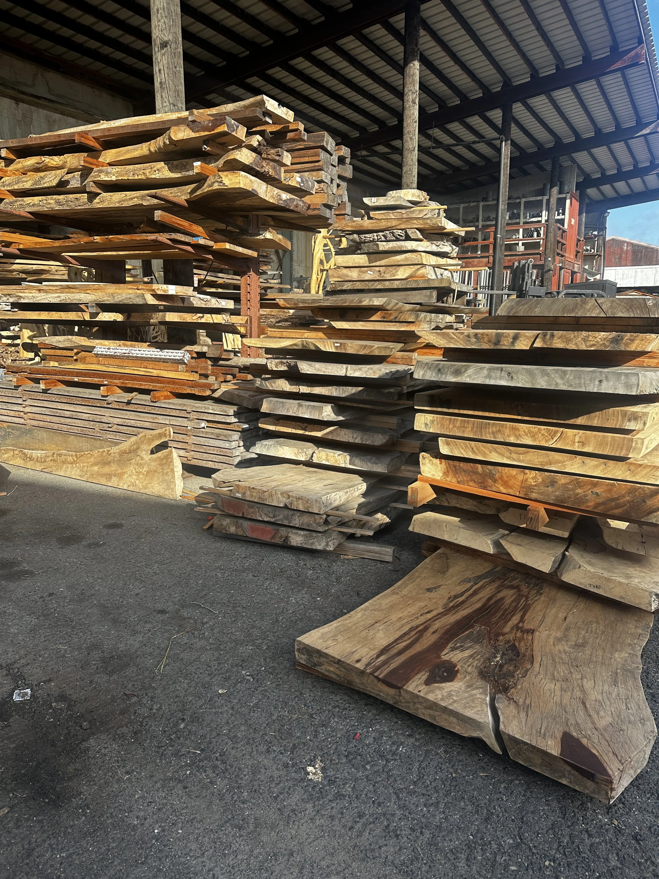 Live edge wood slabs drying and stabilizing before being handcrafted into custom furniture by Indigenous by La Rue in San Diego.