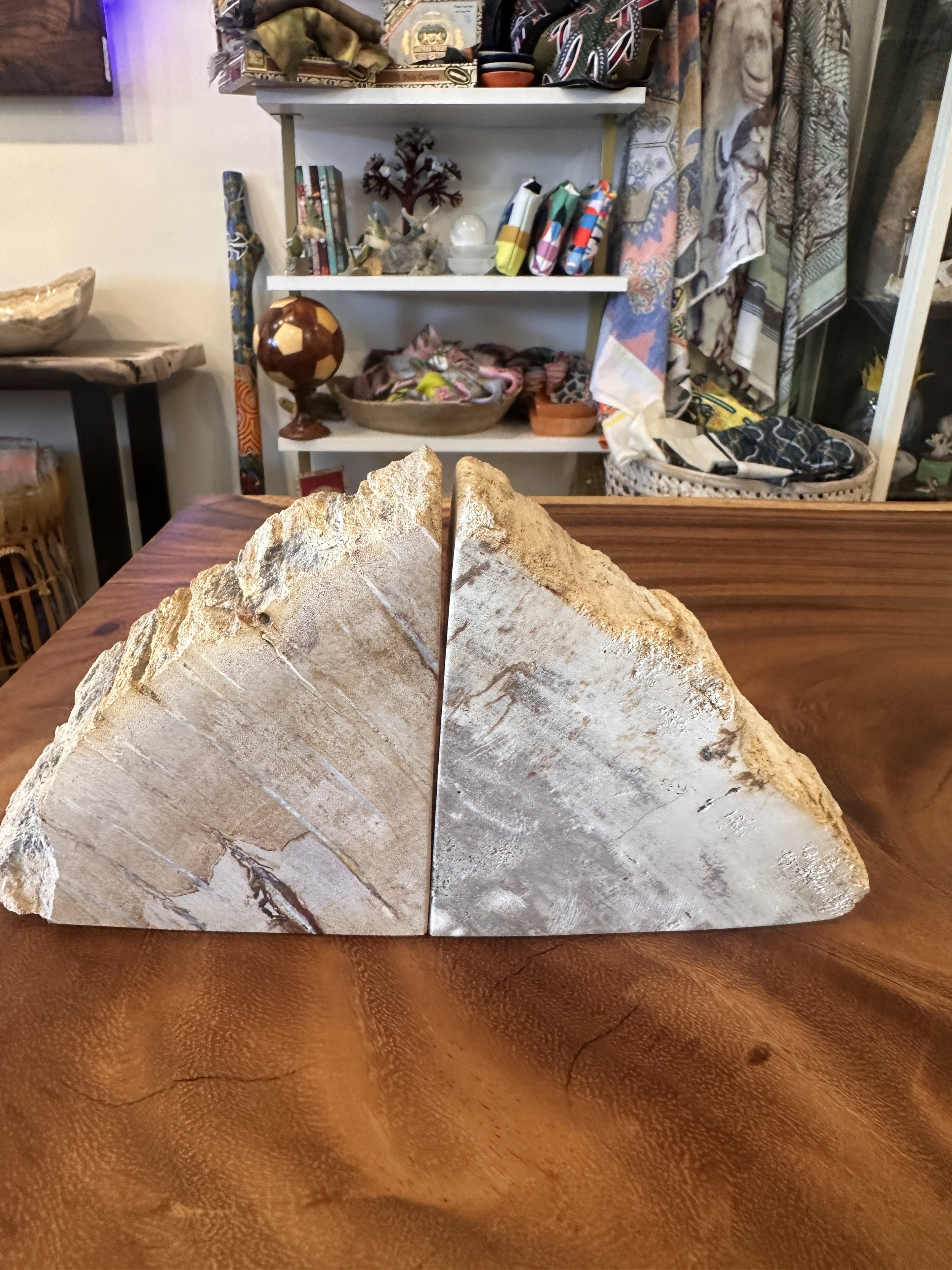 petrified book ends light tone.JPG