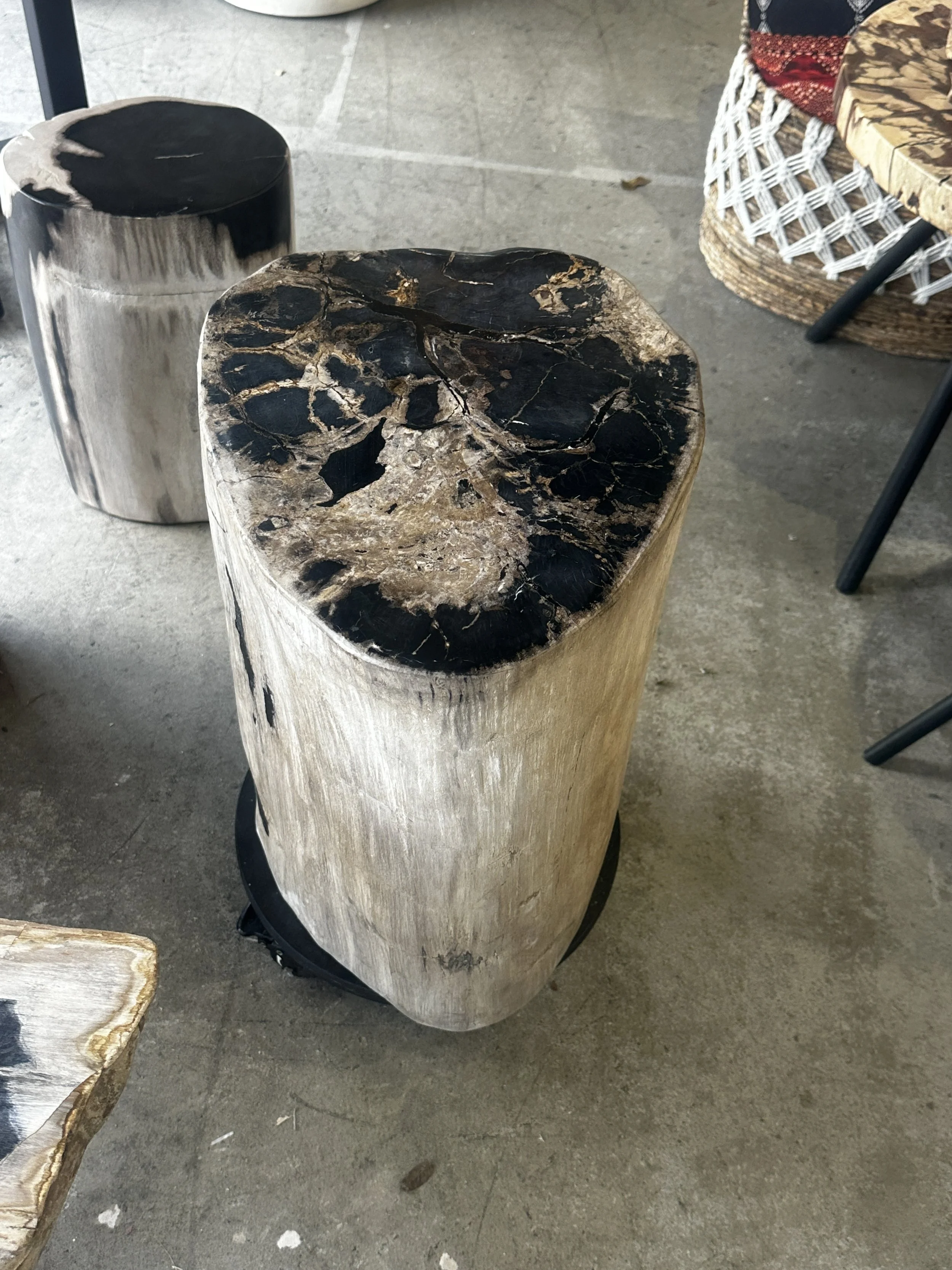 Petrified stump black and white.JPG