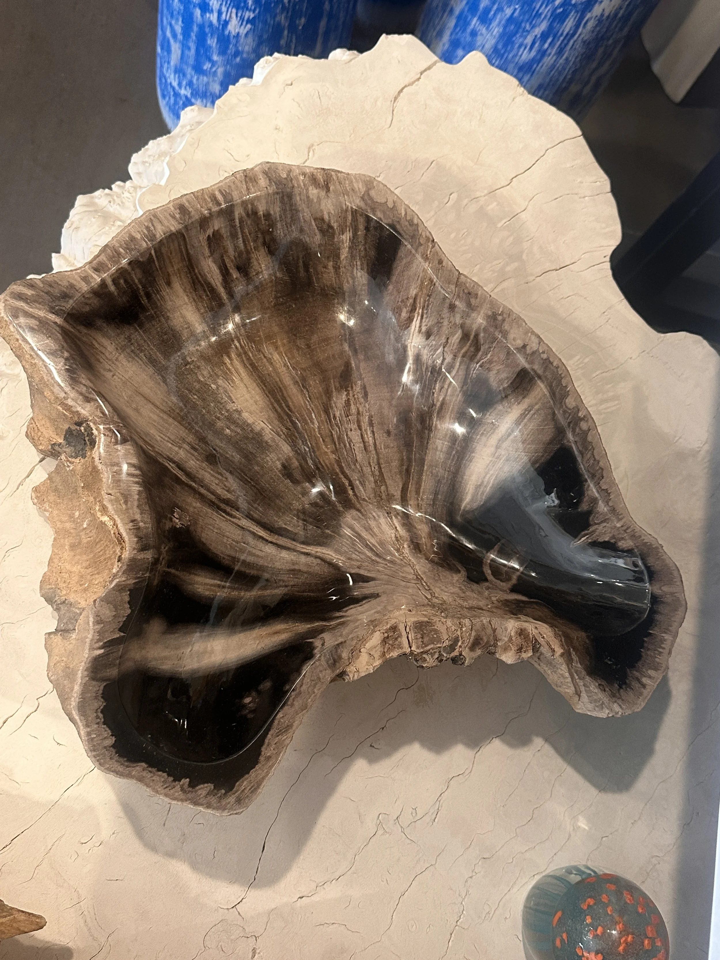 Gray and Black petrified bowl.JPG