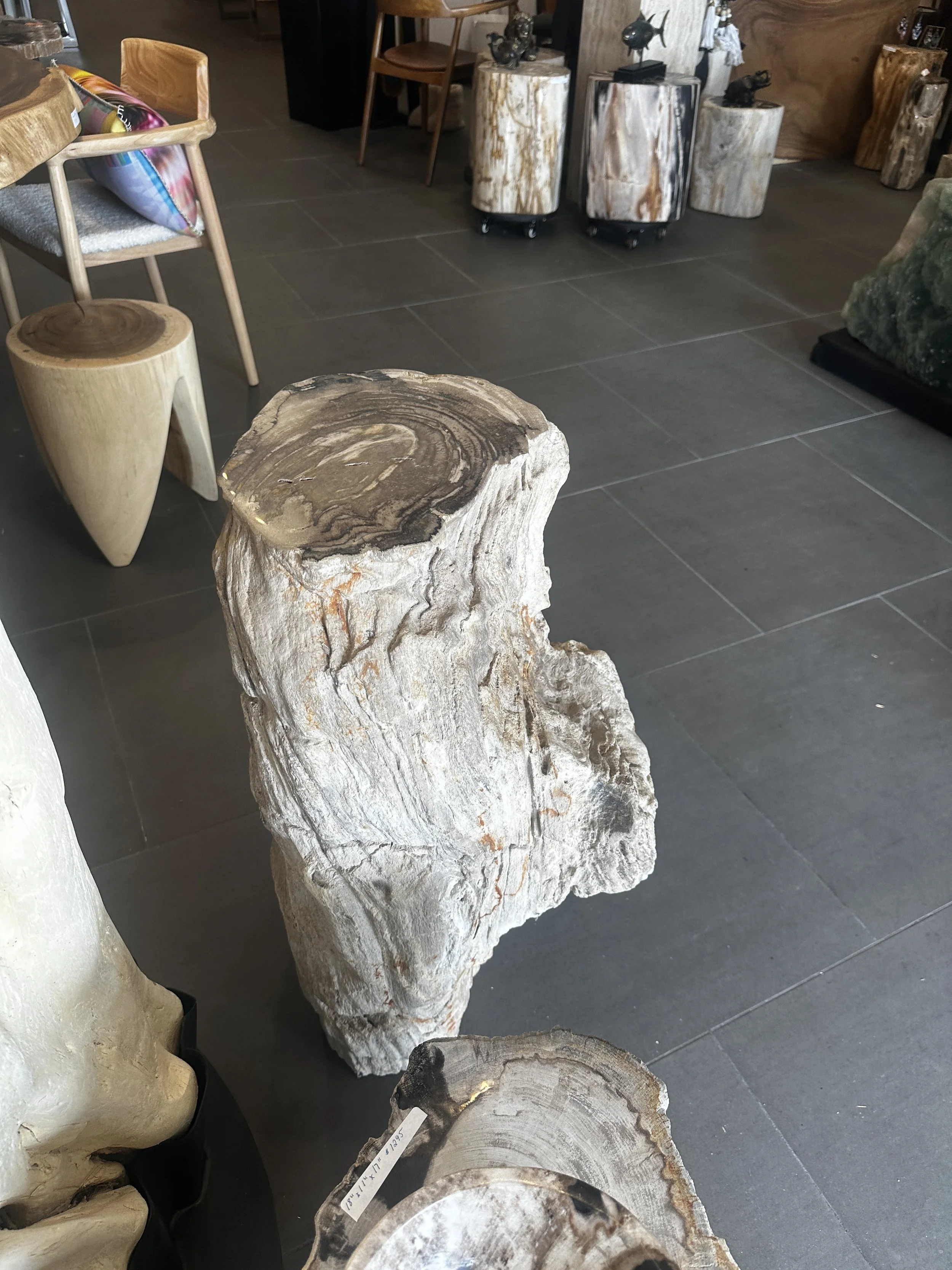 Custom Petrified Pedestal.JPG