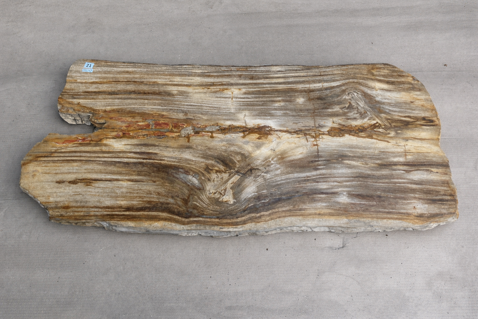 Petrified rectangle live edge coffee table.png