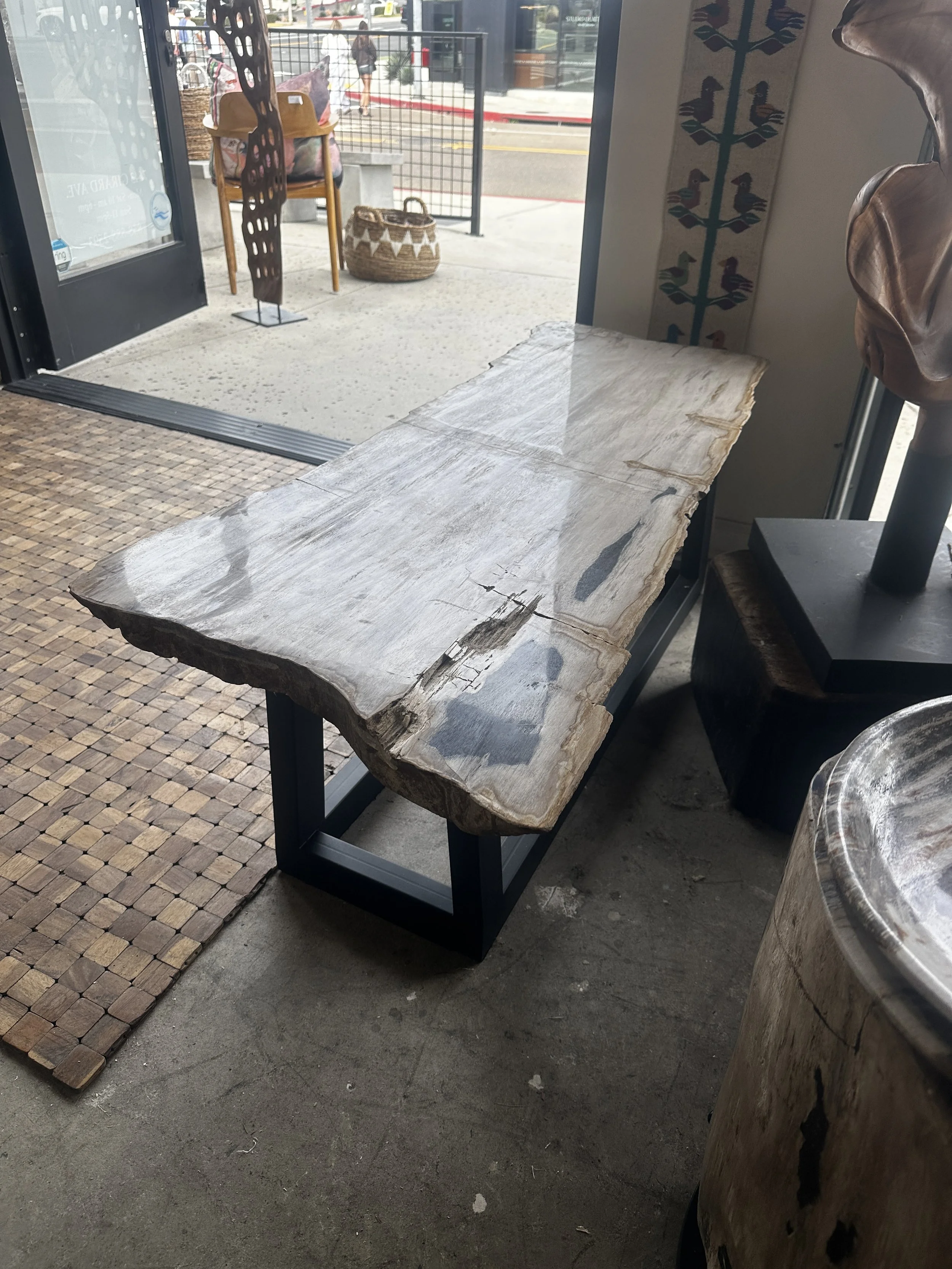 Petrified coffee table on matte black rectangle base.JPG