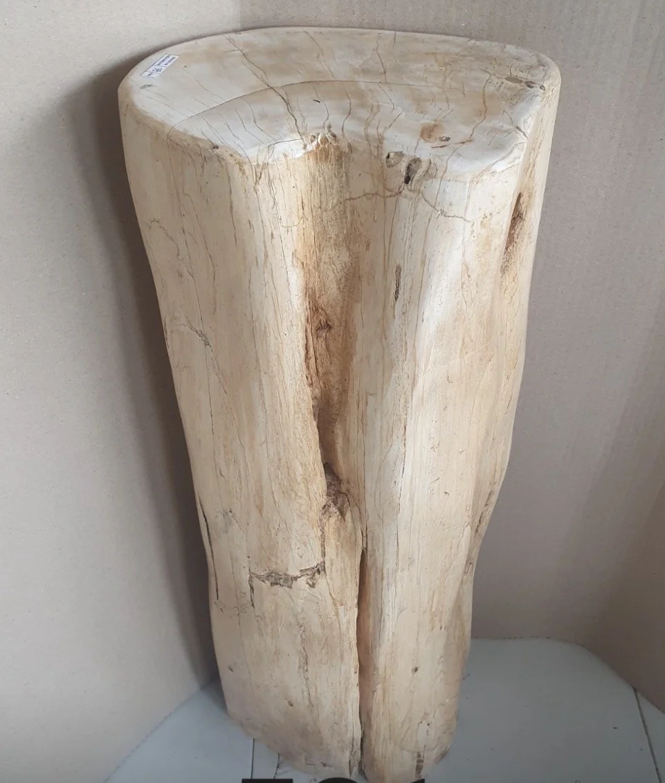 Tall White Petrified smooth stump.jpg