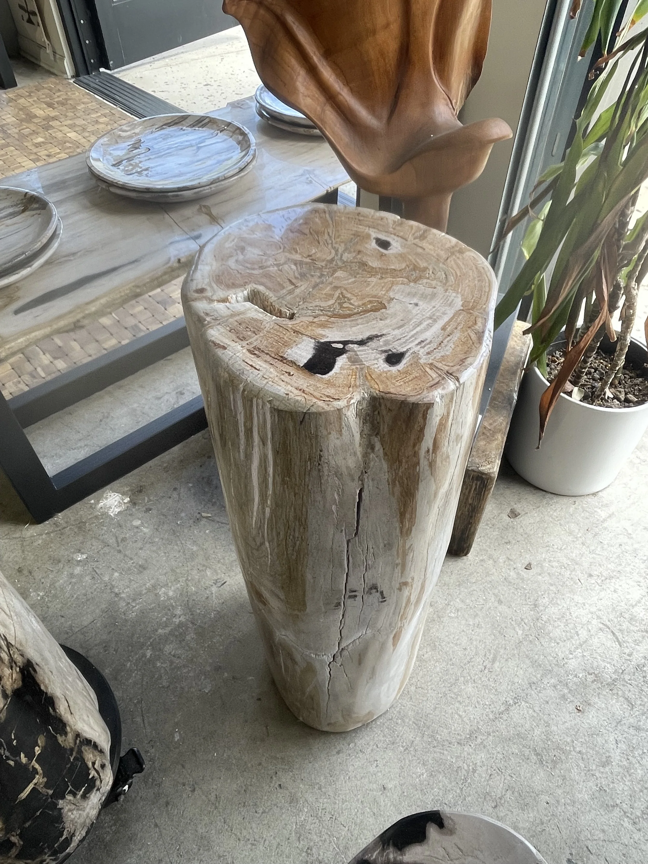 Petrified pedestal white and cream.jpeg