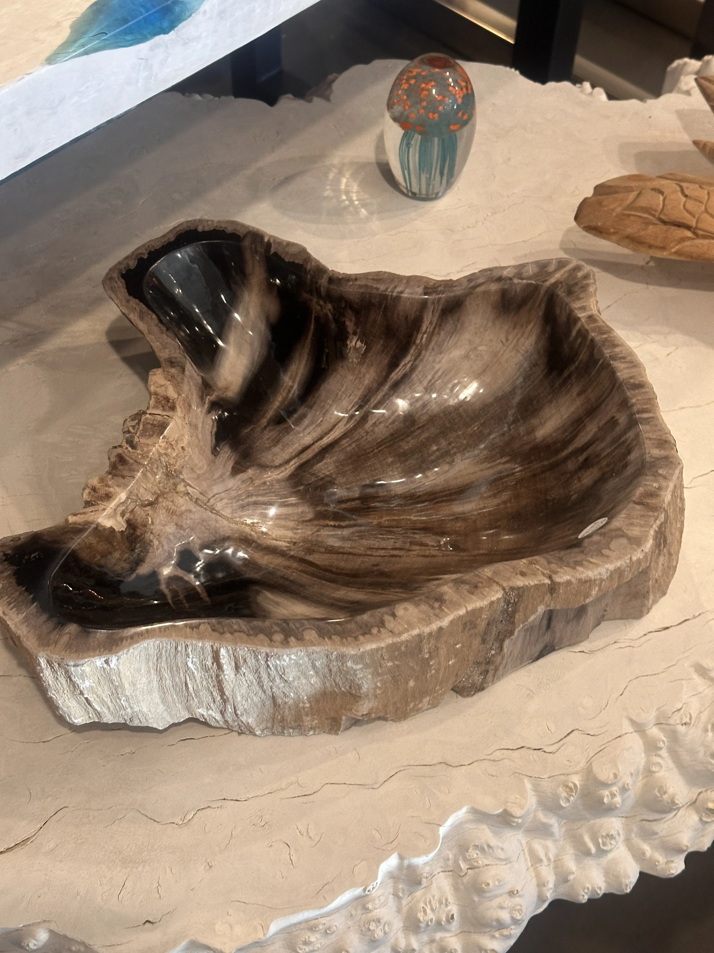 Petrified bowl in black and gray.JPG