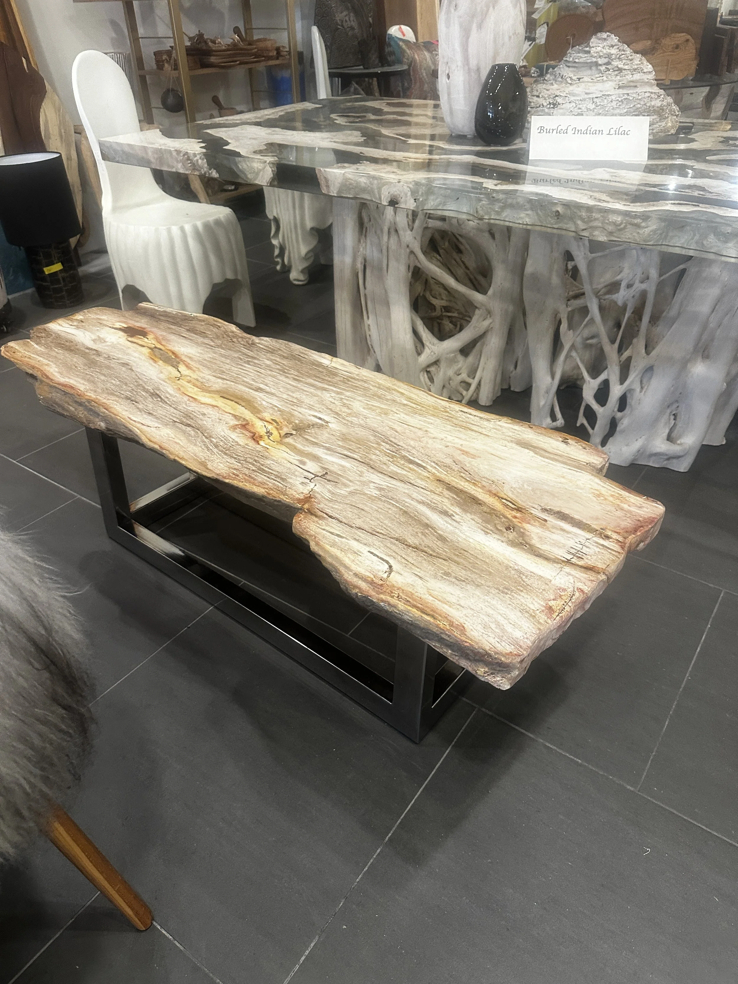 Petrified coffee table on stainless steel base.JPG
