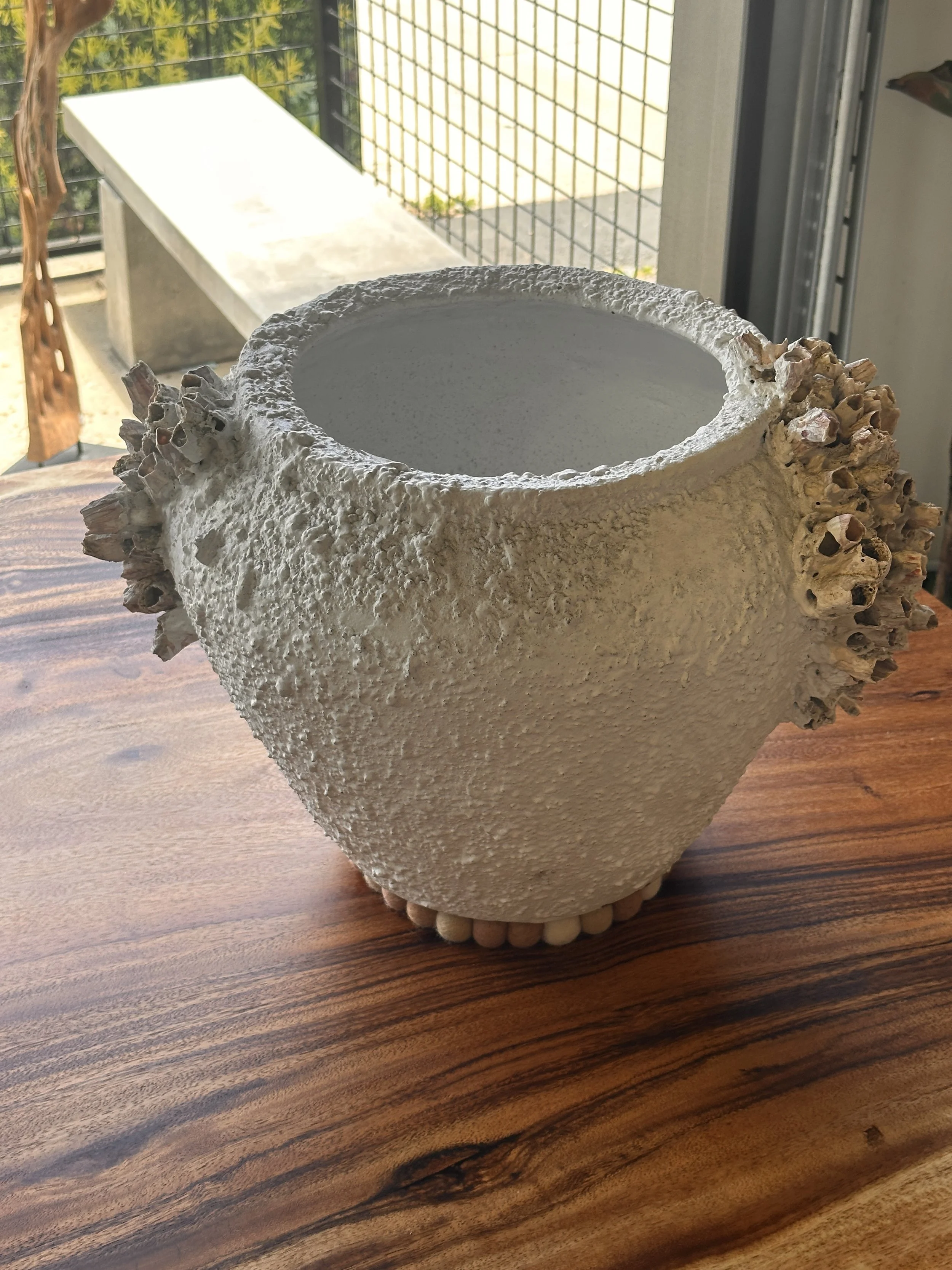barnacle pot.JPG