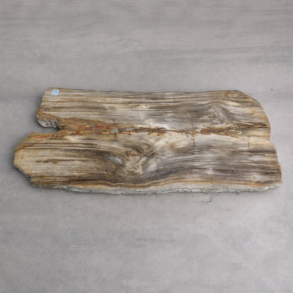Gray and Gold Live Edge Petrified Coffee Table