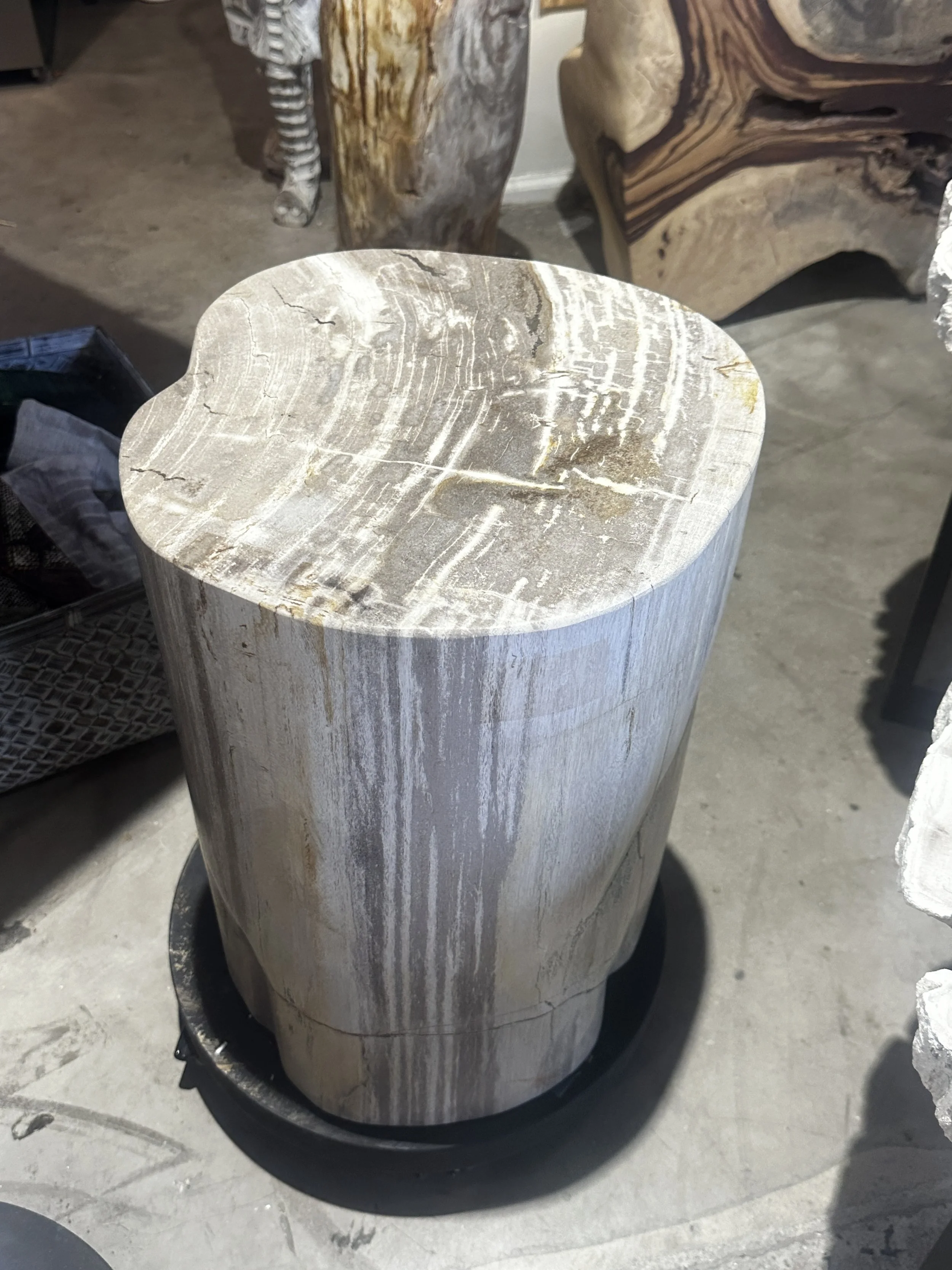 Petrified stump that shimmers.JPG