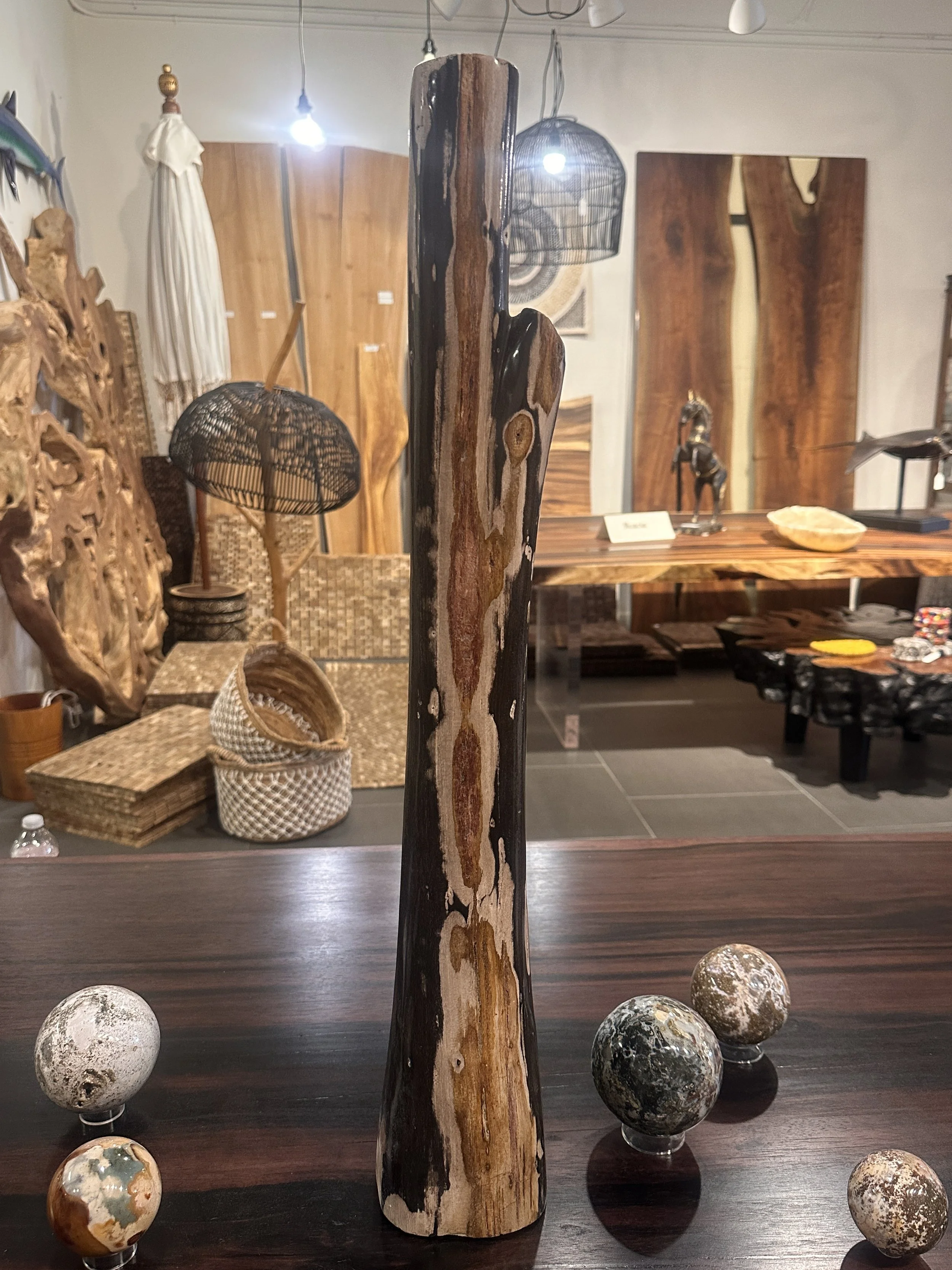 petrified branches on table.JPG