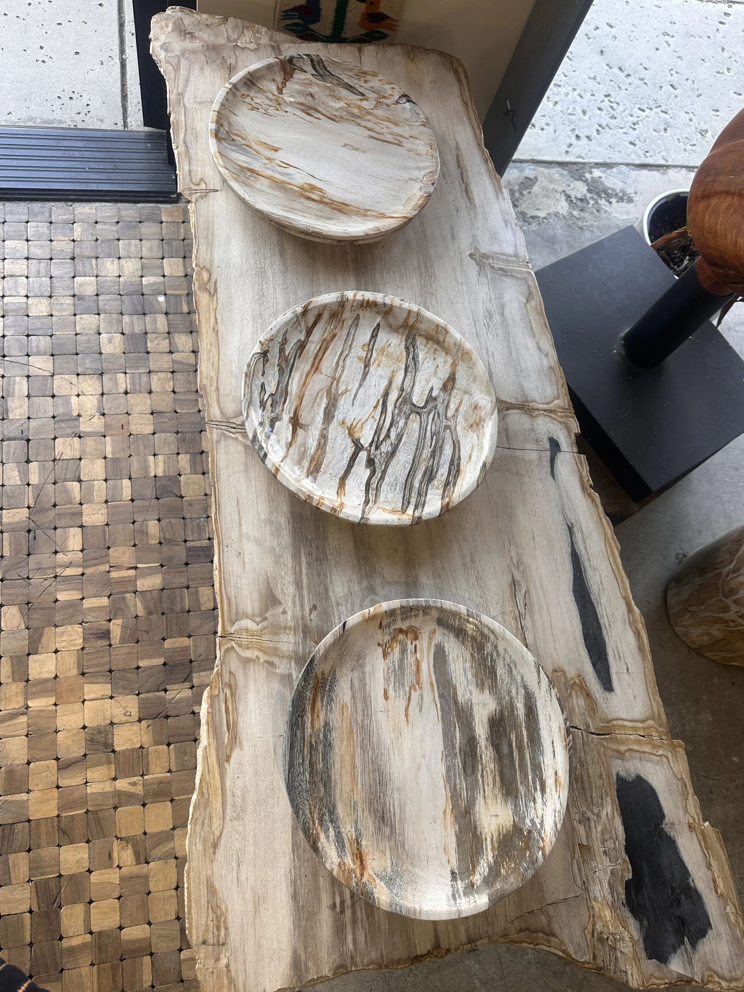Round petrified plate.JPG