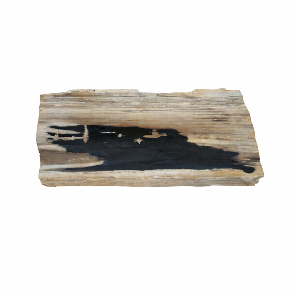 Rectangle black and white petrified coffee table.PNG