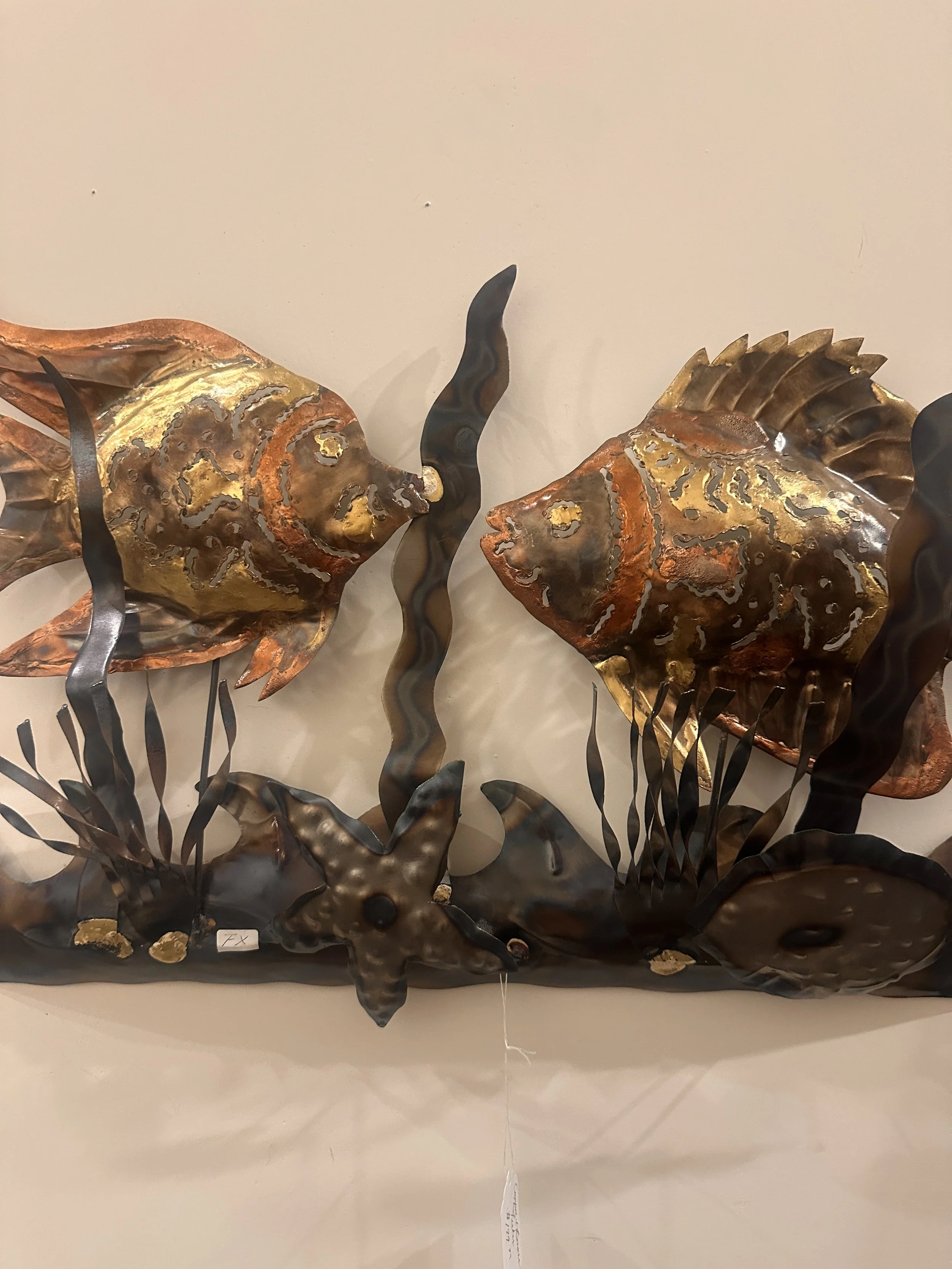 Fishes and starfish .JPG