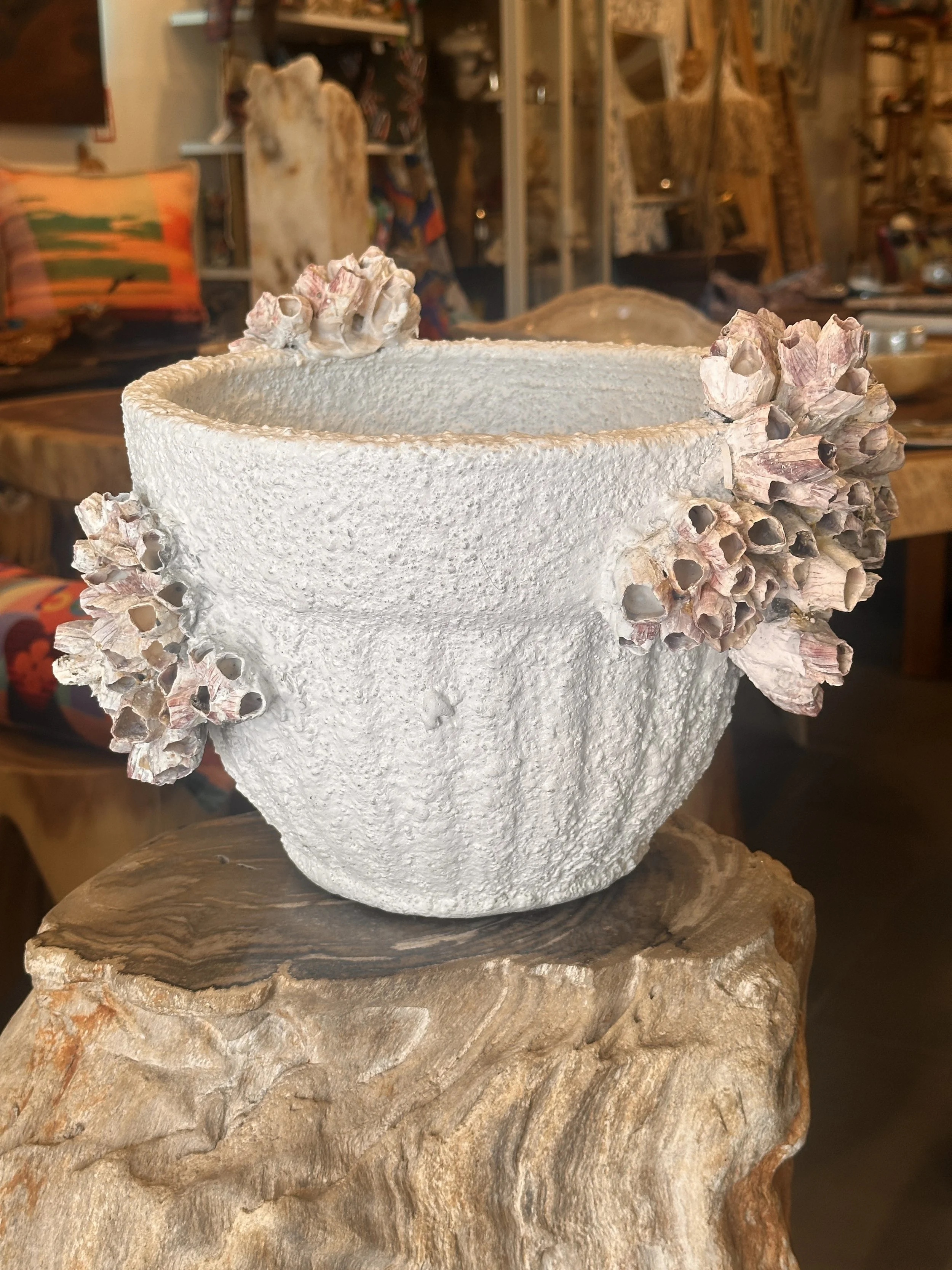 12 inch pottery.JPG