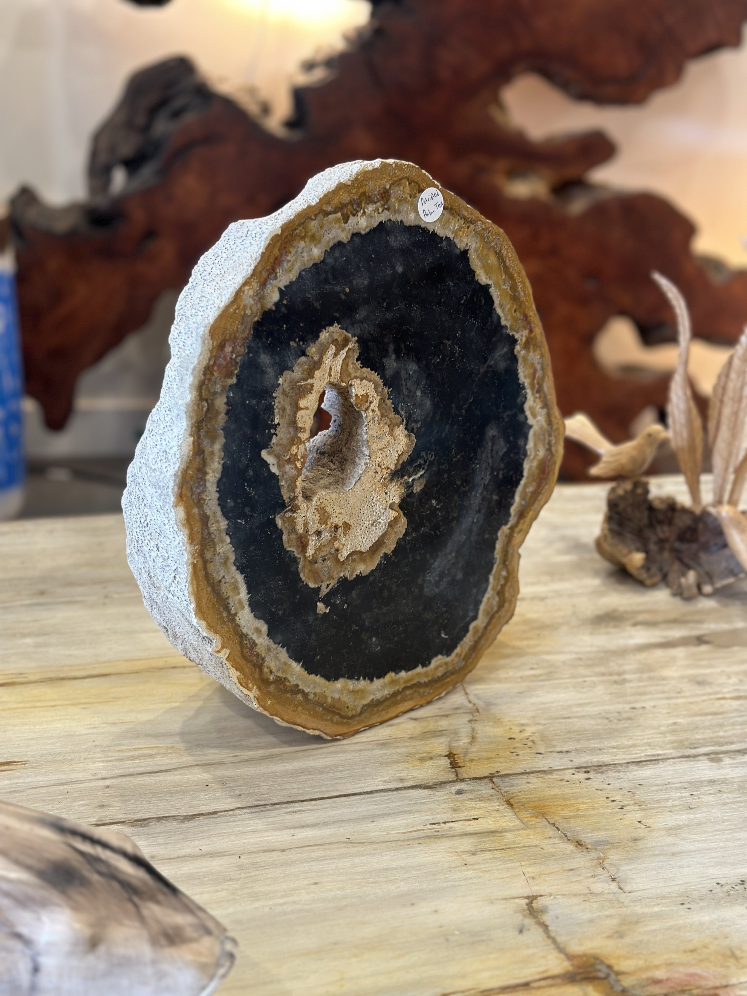Petrified Palm Tree Sculpture