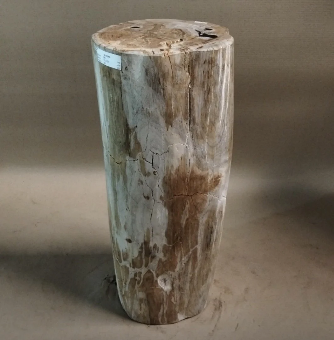 25 inch tall Petrified pedestal.jpg