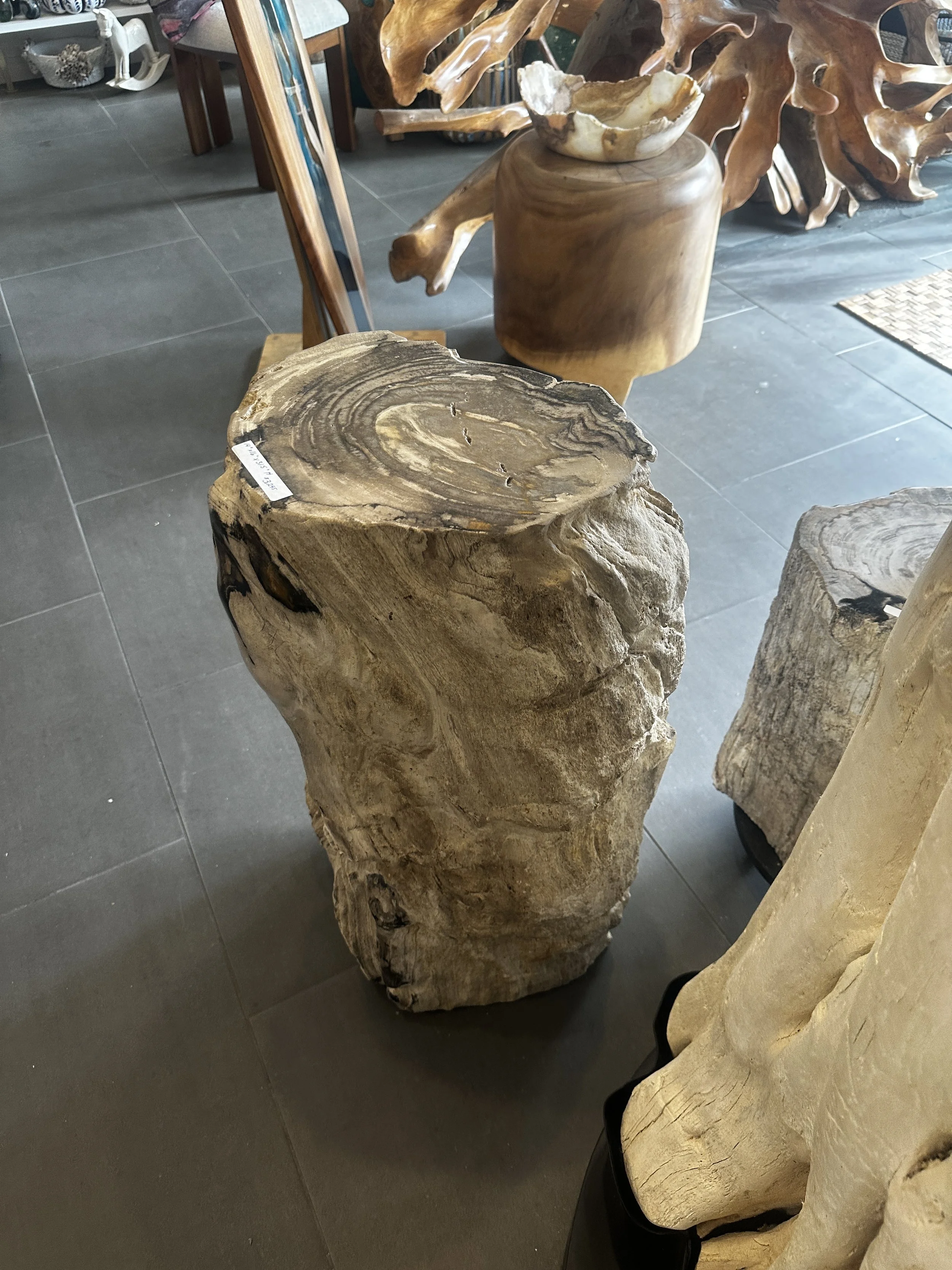 Cream and gray Petrified stump.JPG