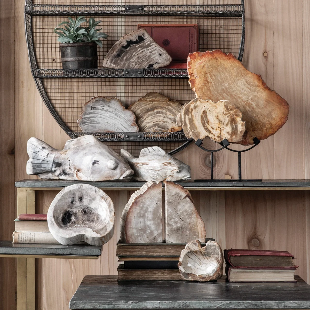 Petrfied collection.webp