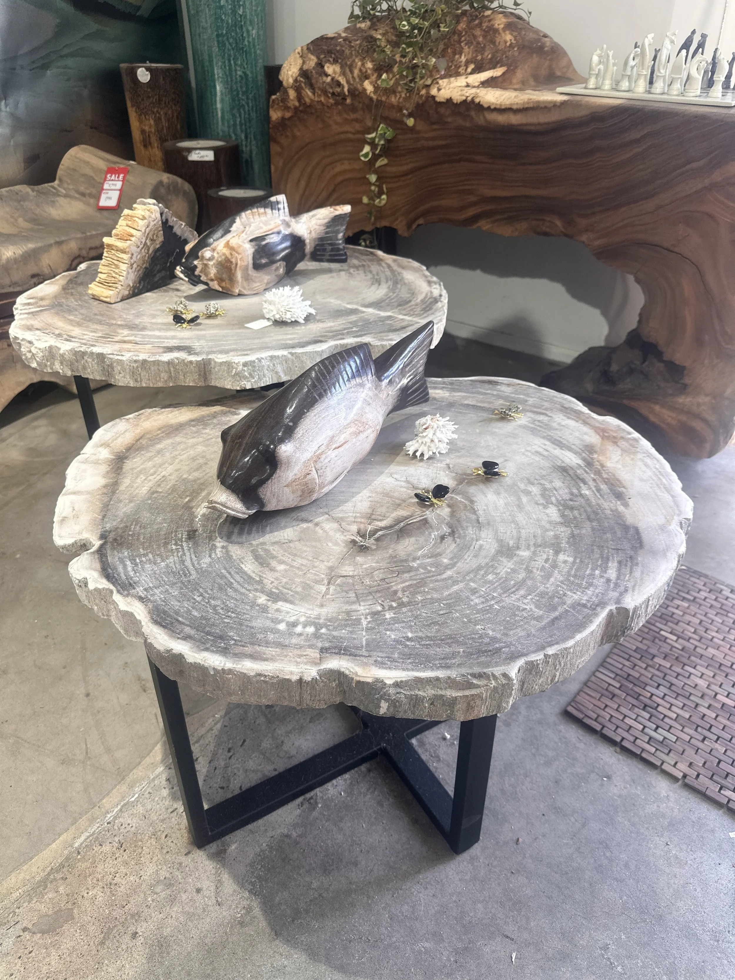 nesting tables that are petrified.JPG