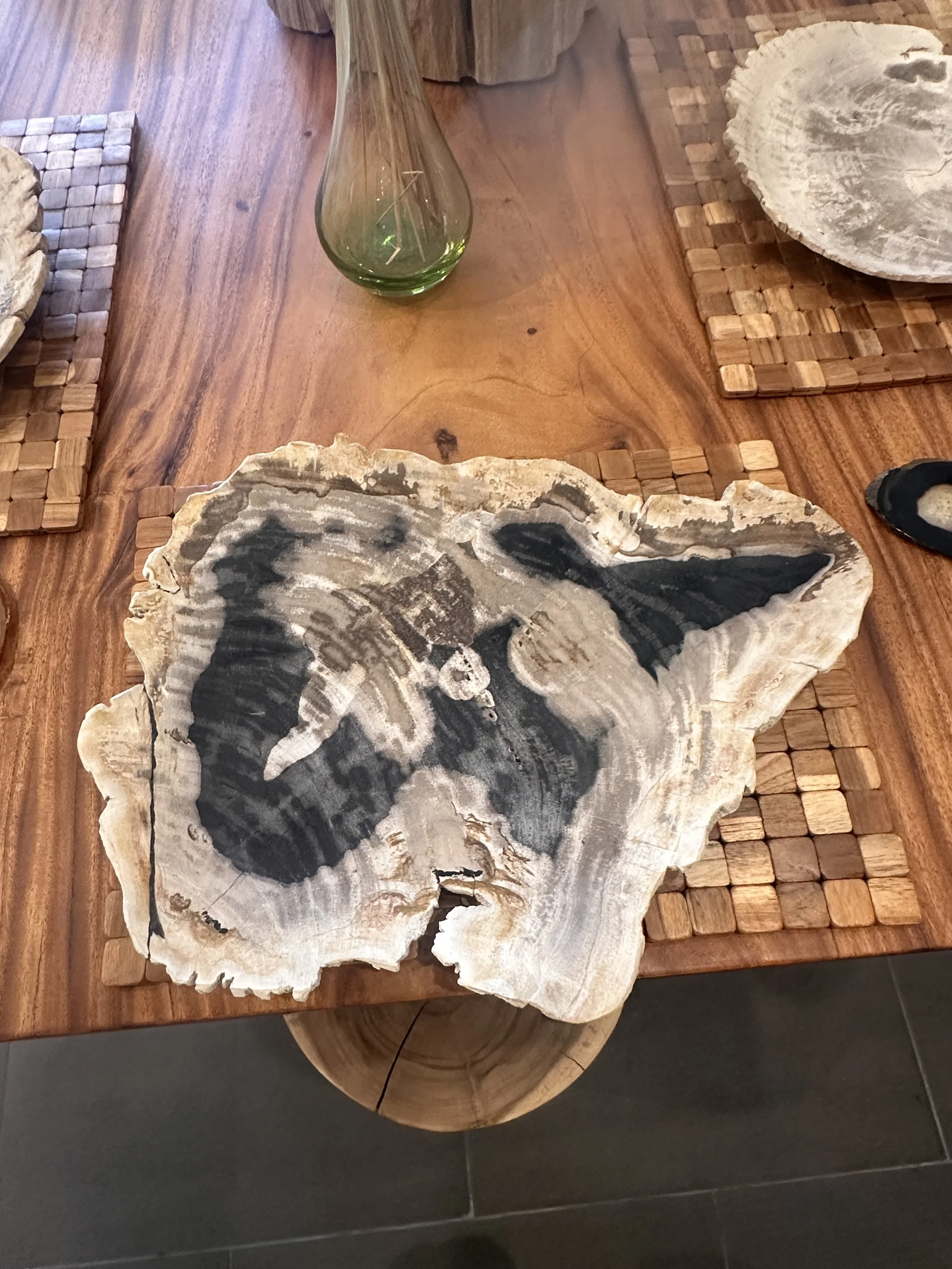 White and black petrified platter.JPG