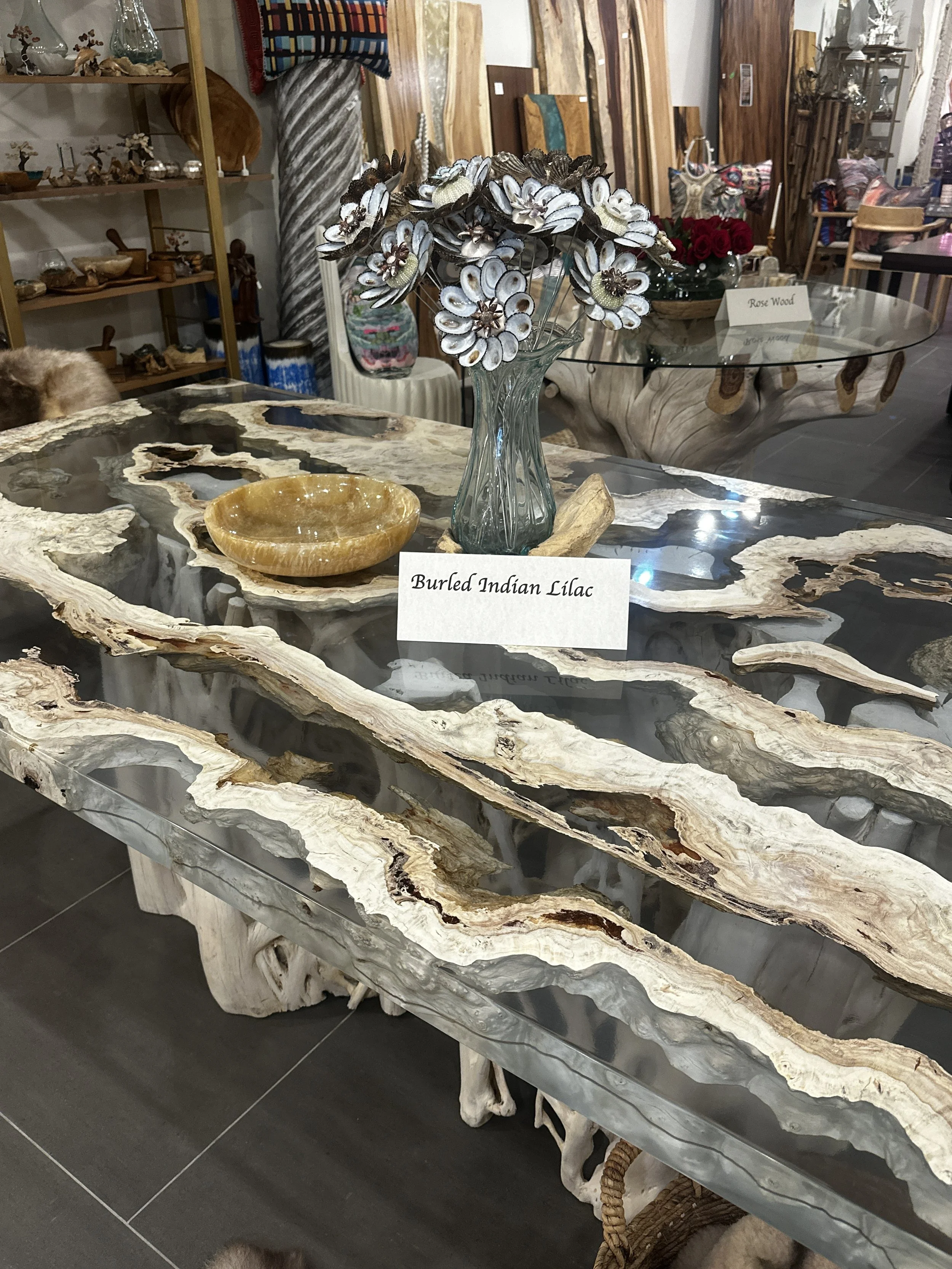 Burled Indian Lilac Encased in Crystal Clear Resin on a Fig Root Base