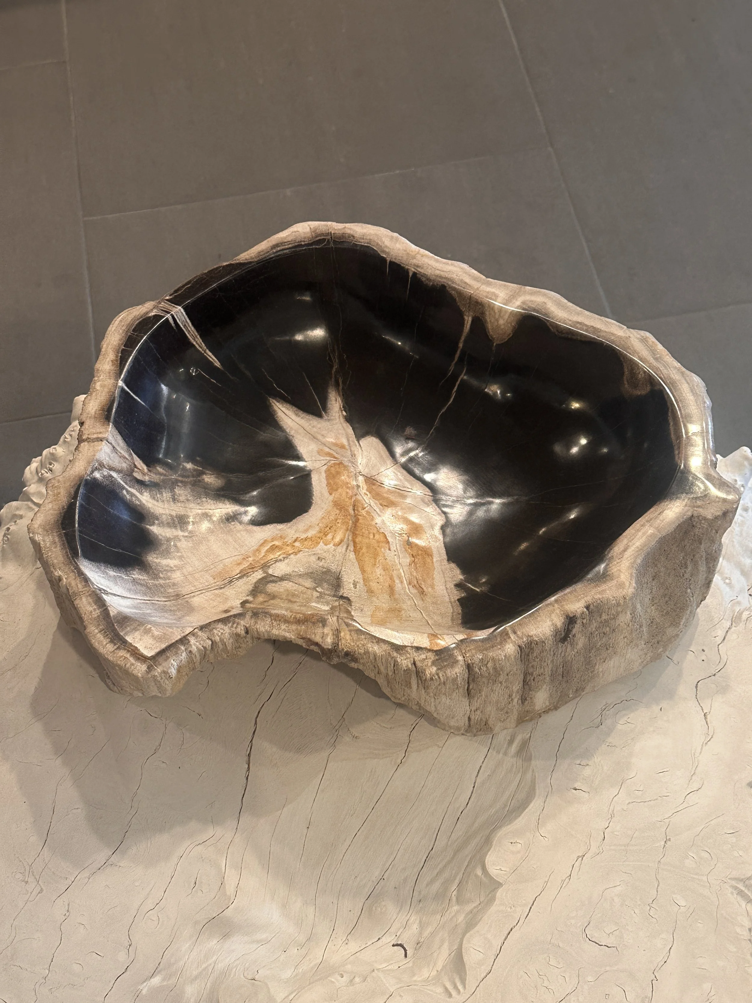 Organic petrified wodd bowl.JPG