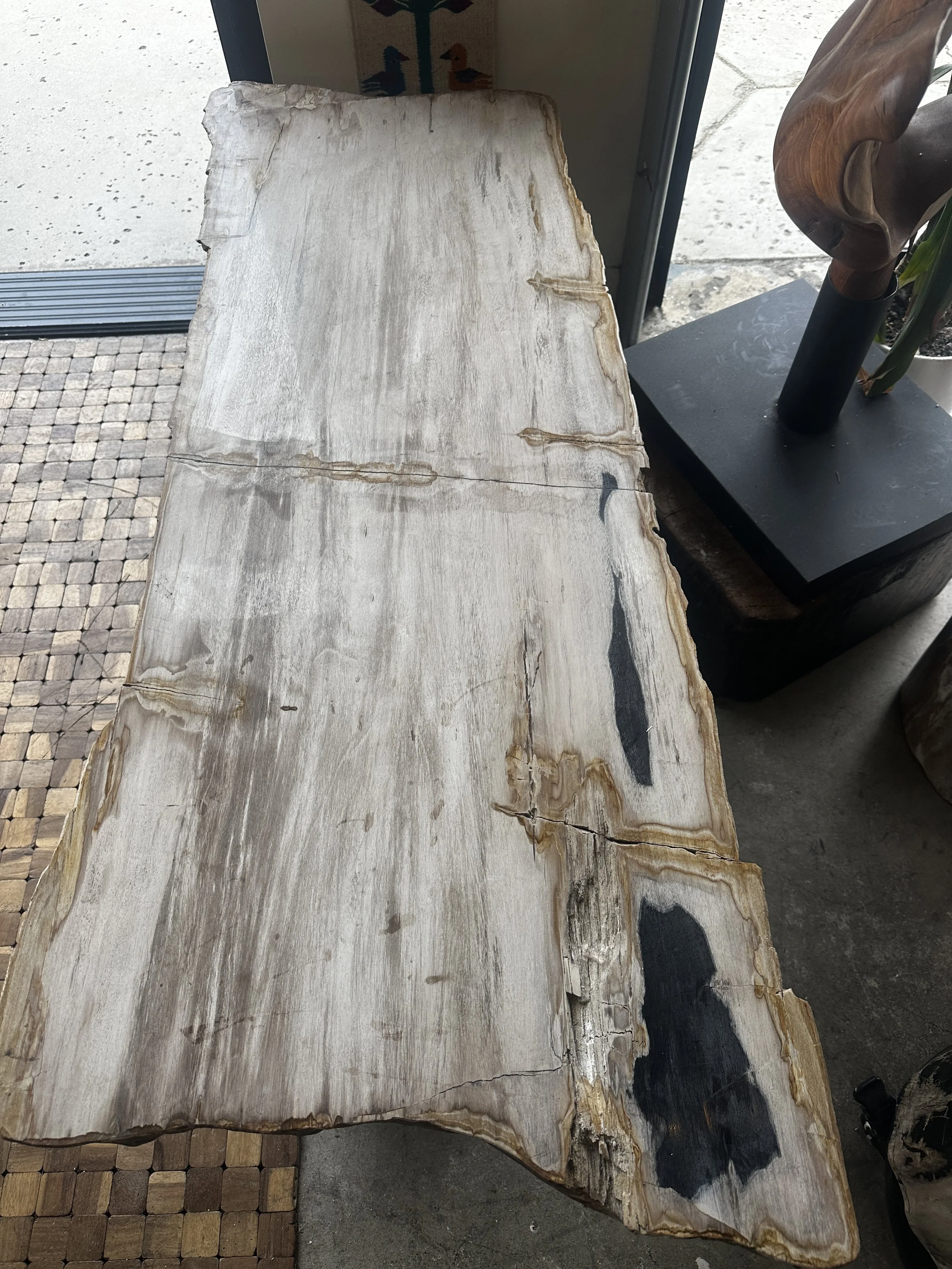 Petrified white coffee table.JPG
